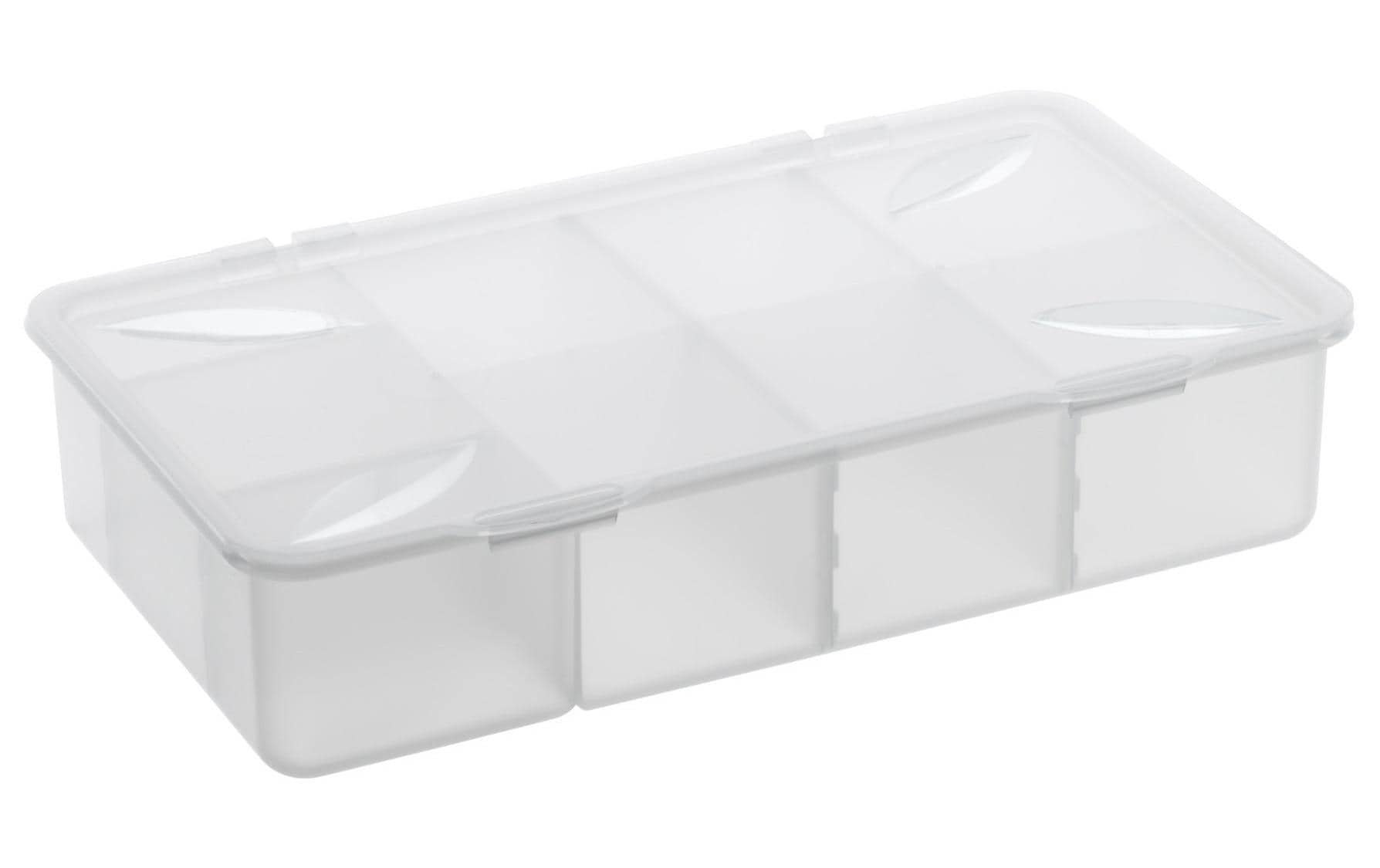 Rotho Aufbewahrungsbox 3 L (ohne Deckel) – Polypropylen – Transparent – BPA-frei – 198 × 76 × 339 mm