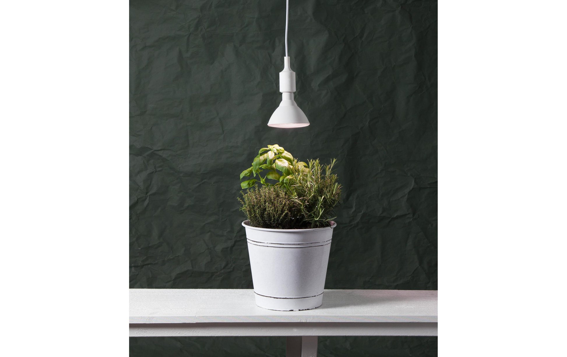 Star Trading Leuchtmittel E27 – Warmweiss, 1200 lm, 16 W – IP44 – 1 Stk. – 12.357-36
