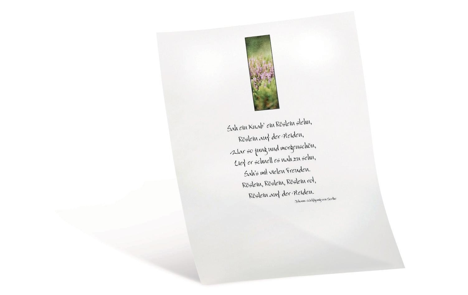 Folia Transparentpapier – A4, 115 g/m², 10 Blatt