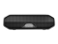 SanDisk Professionelles G-DRIVE Speichergerät – 22 TB, USB-C USB 3.1, Desktop 3,5"