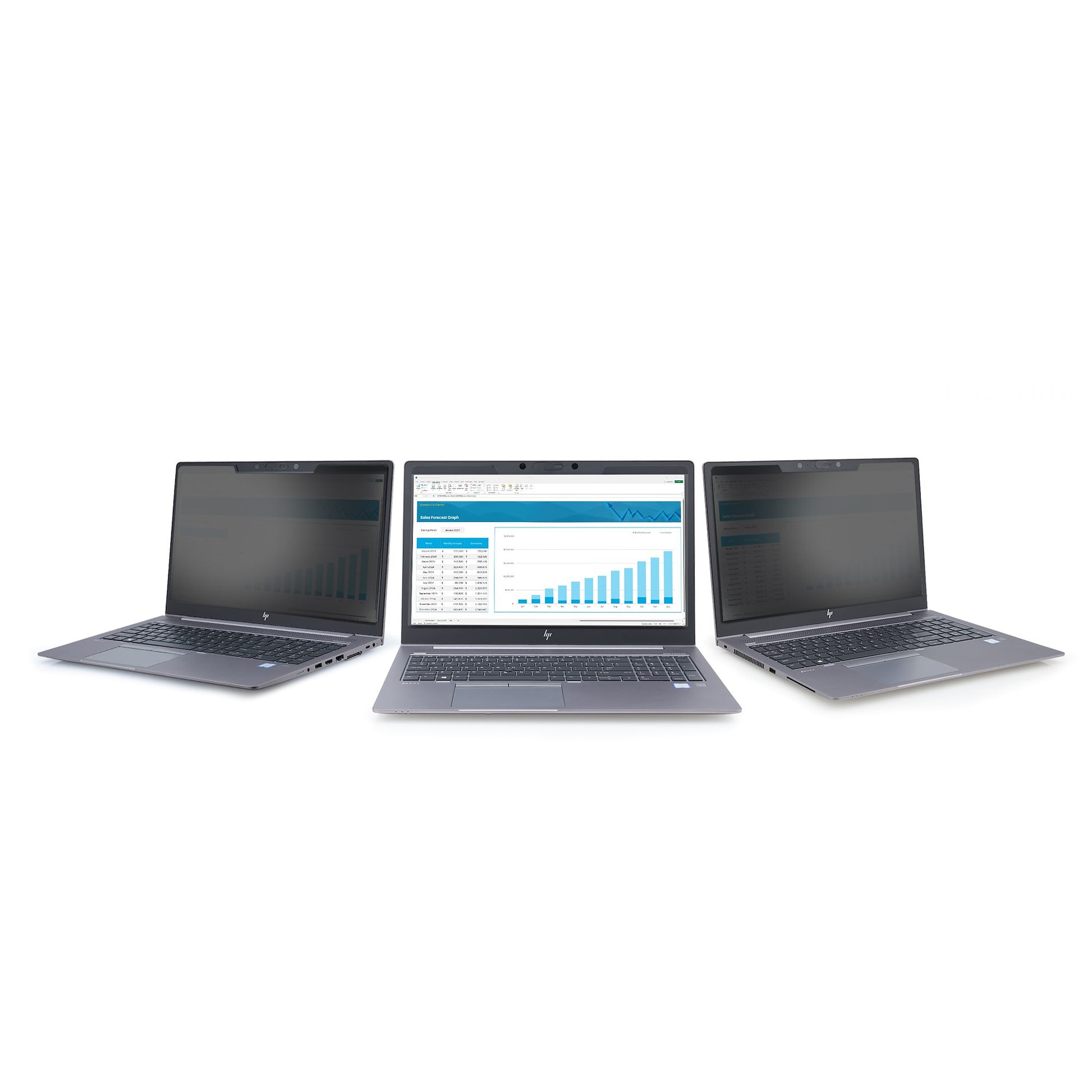 StarTech.com Displayschutz für 14" Laptop