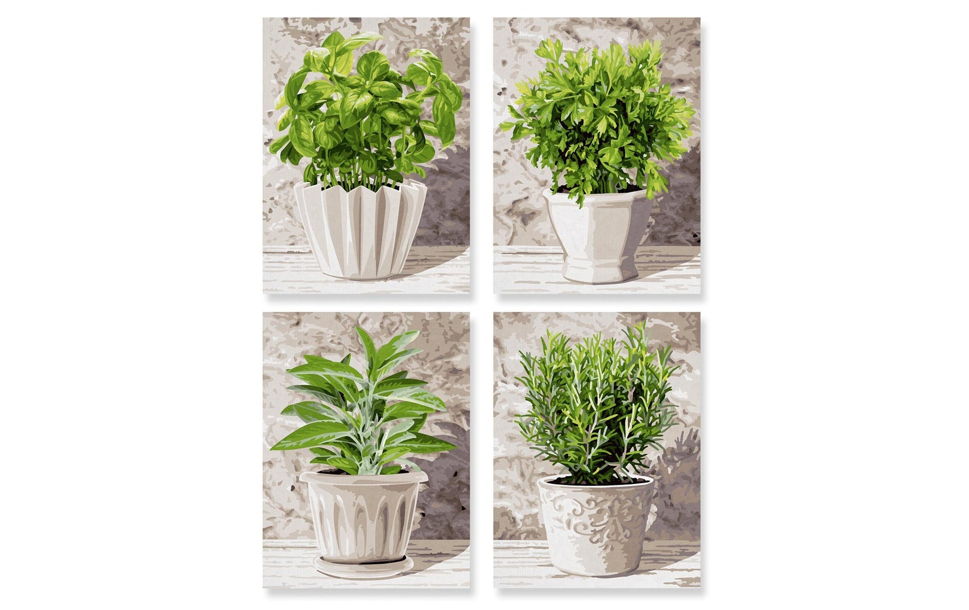 Schipper Malen-nach-Zahlen-Set – Küchenkräuter – 4-teilig, je 18 × 24 cm – ab 8 Jahren