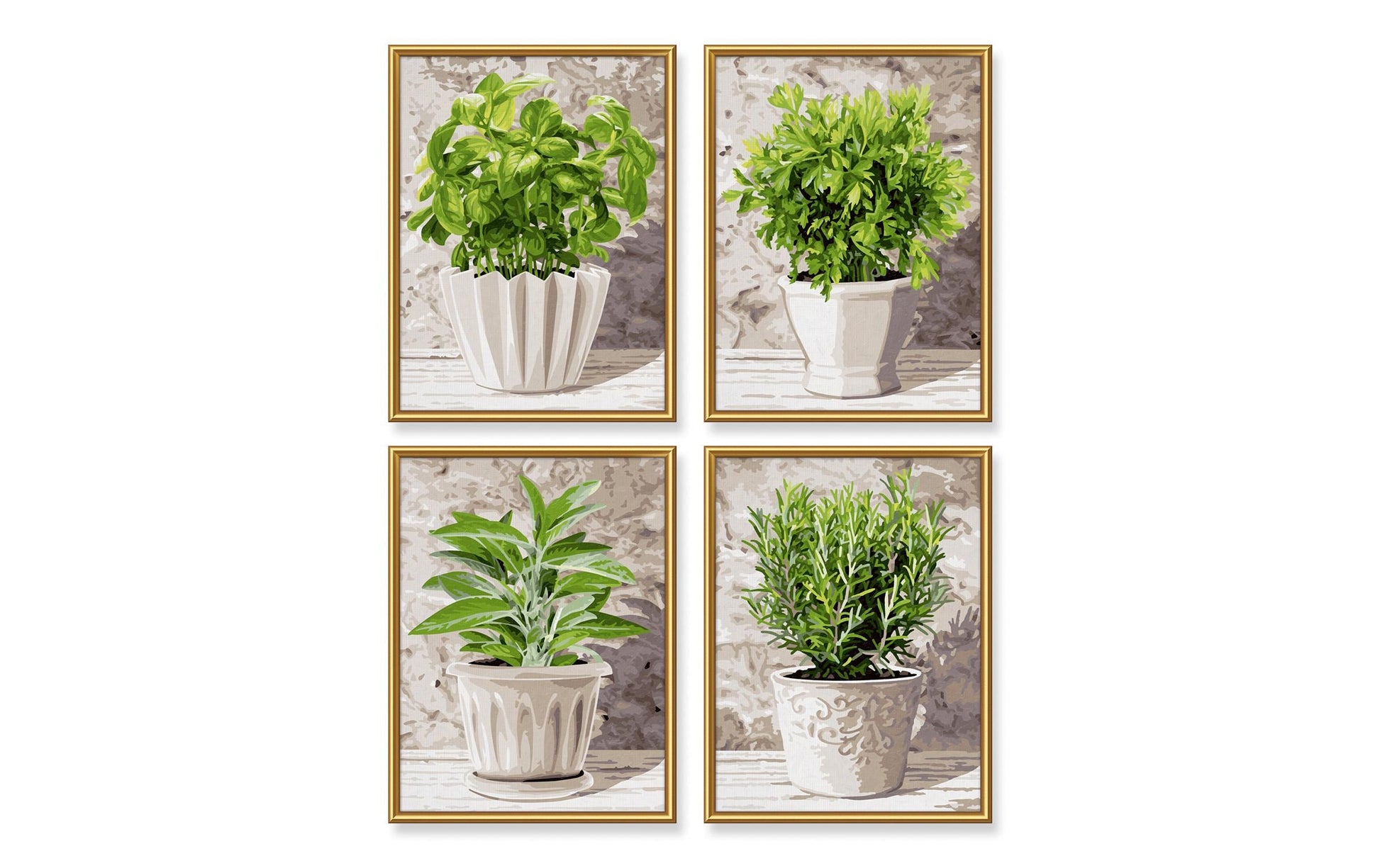 Schipper Malen-nach-Zahlen-Set – Küchenkräuter – 4-teilig, je 18 × 24 cm – ab 8 Jahren