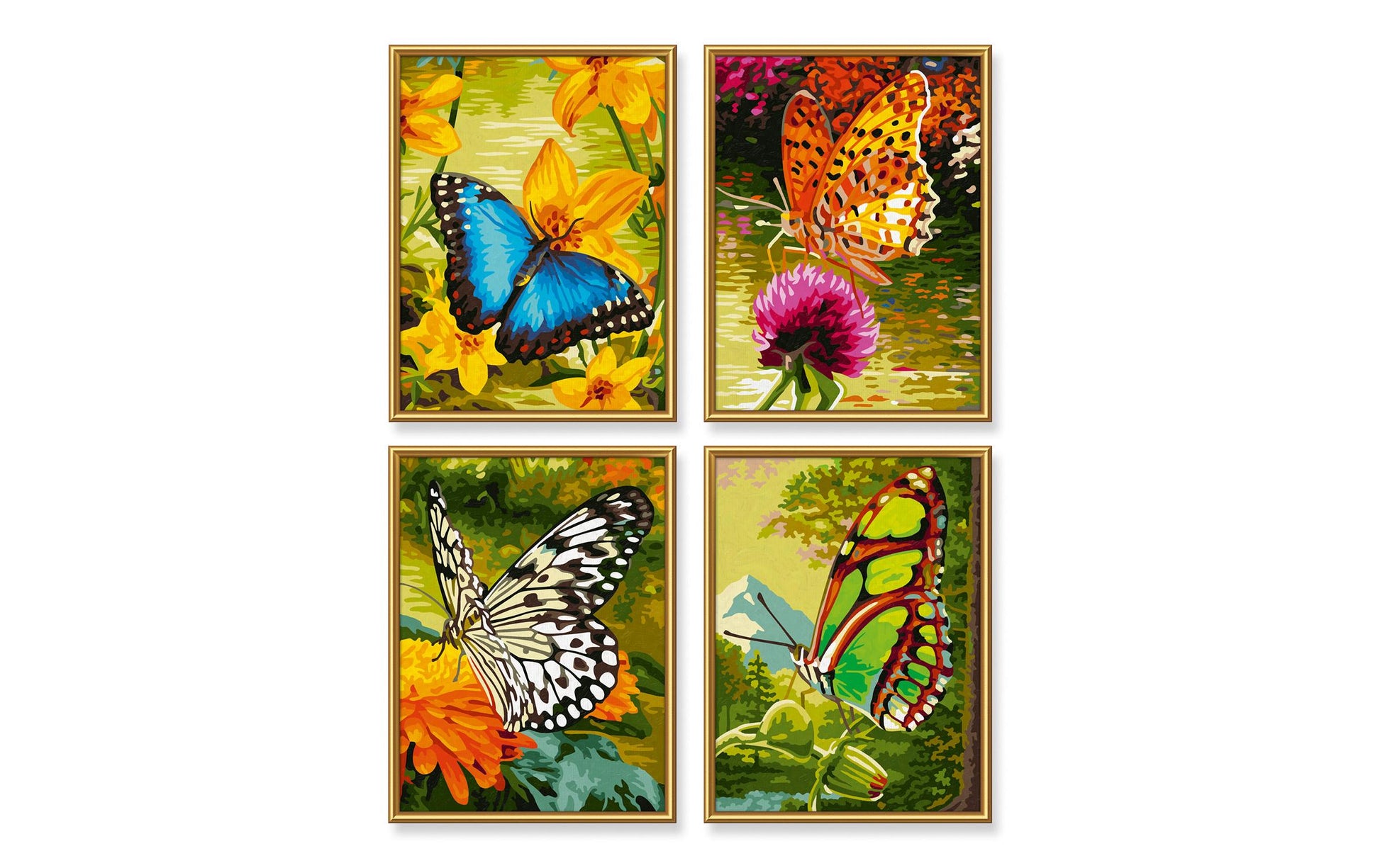 Schipper Malen-nach-Zahlen-Set – Schmetterlinge – 4-teilig, je 18 × 24 cm – ab 8 Jahren
