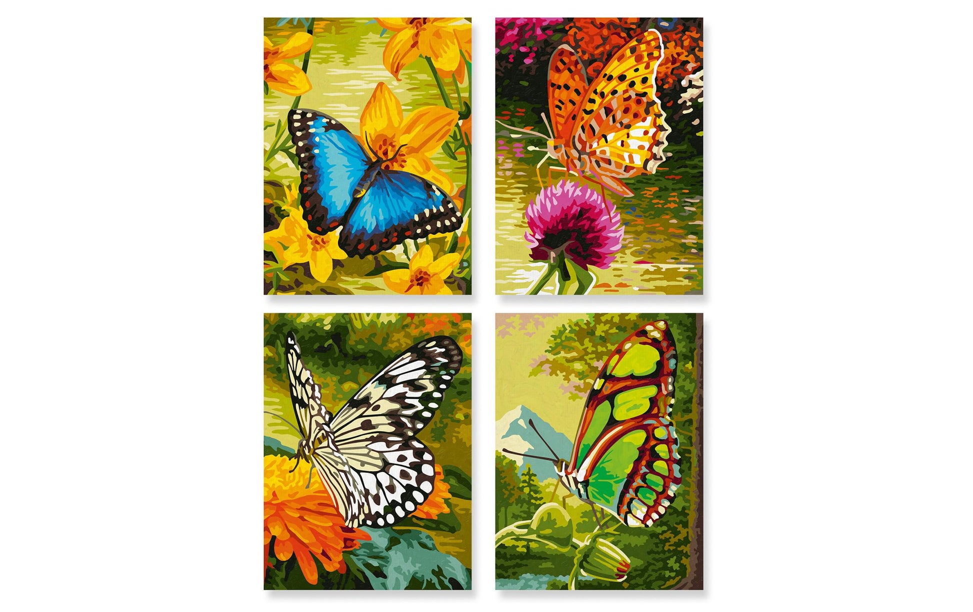 Schipper Malen-nach-Zahlen-Set – Schmetterlinge – 4-teilig, je 18 × 24 cm – ab 8 Jahren
