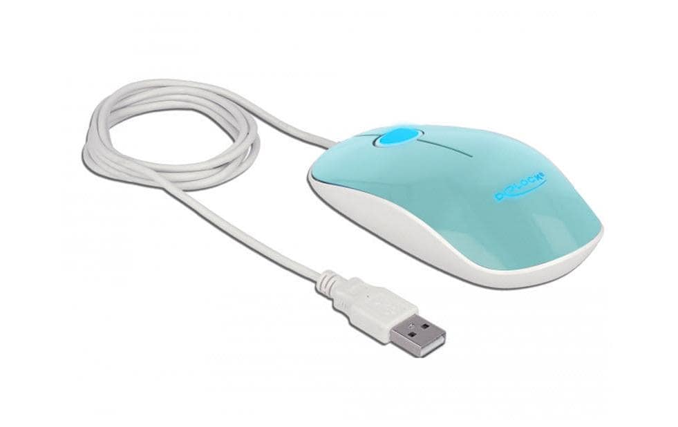 DeLOCK 12538 – Maus – Kabelgebunden (USB‑A), beidhändig, Türkis