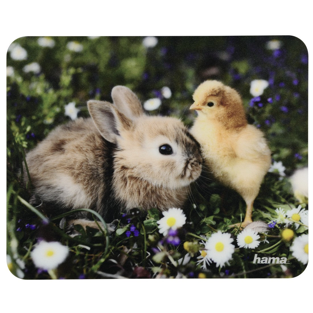 Hama Mausmatte Tiere – 220 × 180 × 1 mm, Mehrfarbig