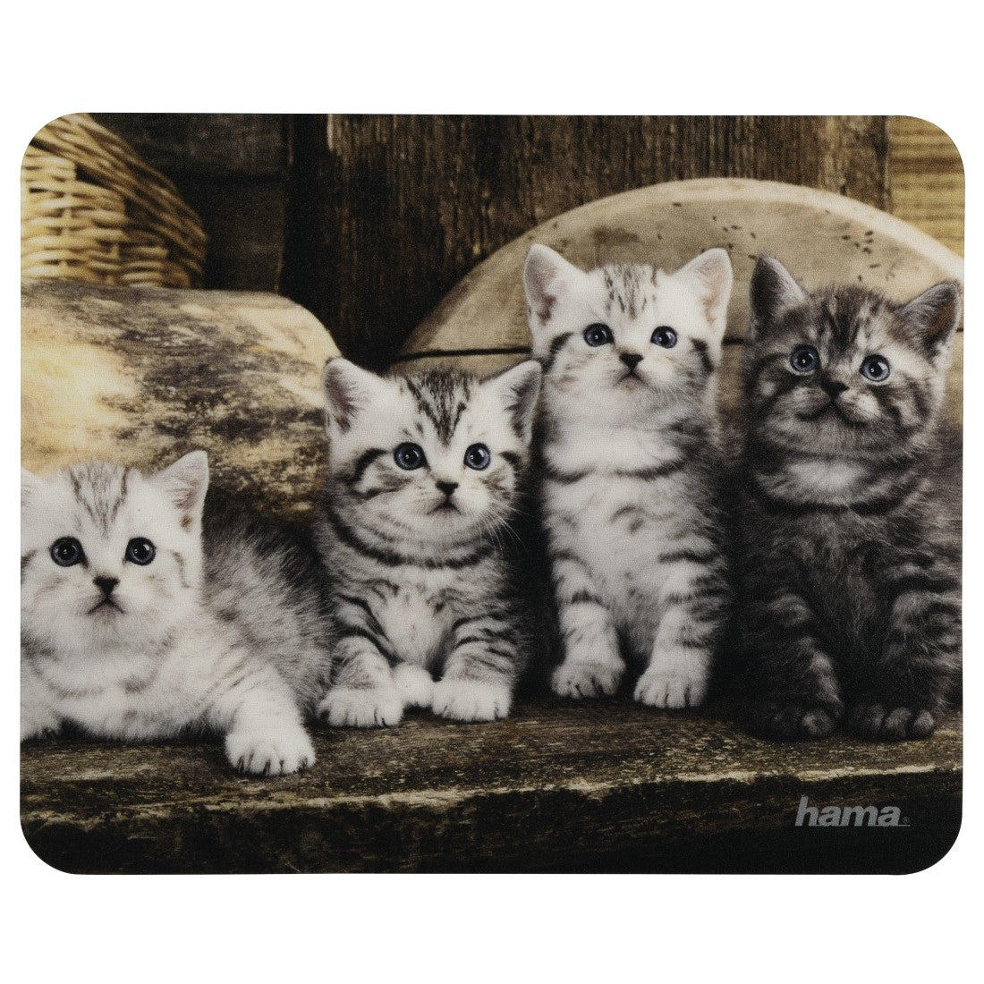 Hama Mausmatte Tiere – 220 × 180 × 1 mm, Mehrfarbig