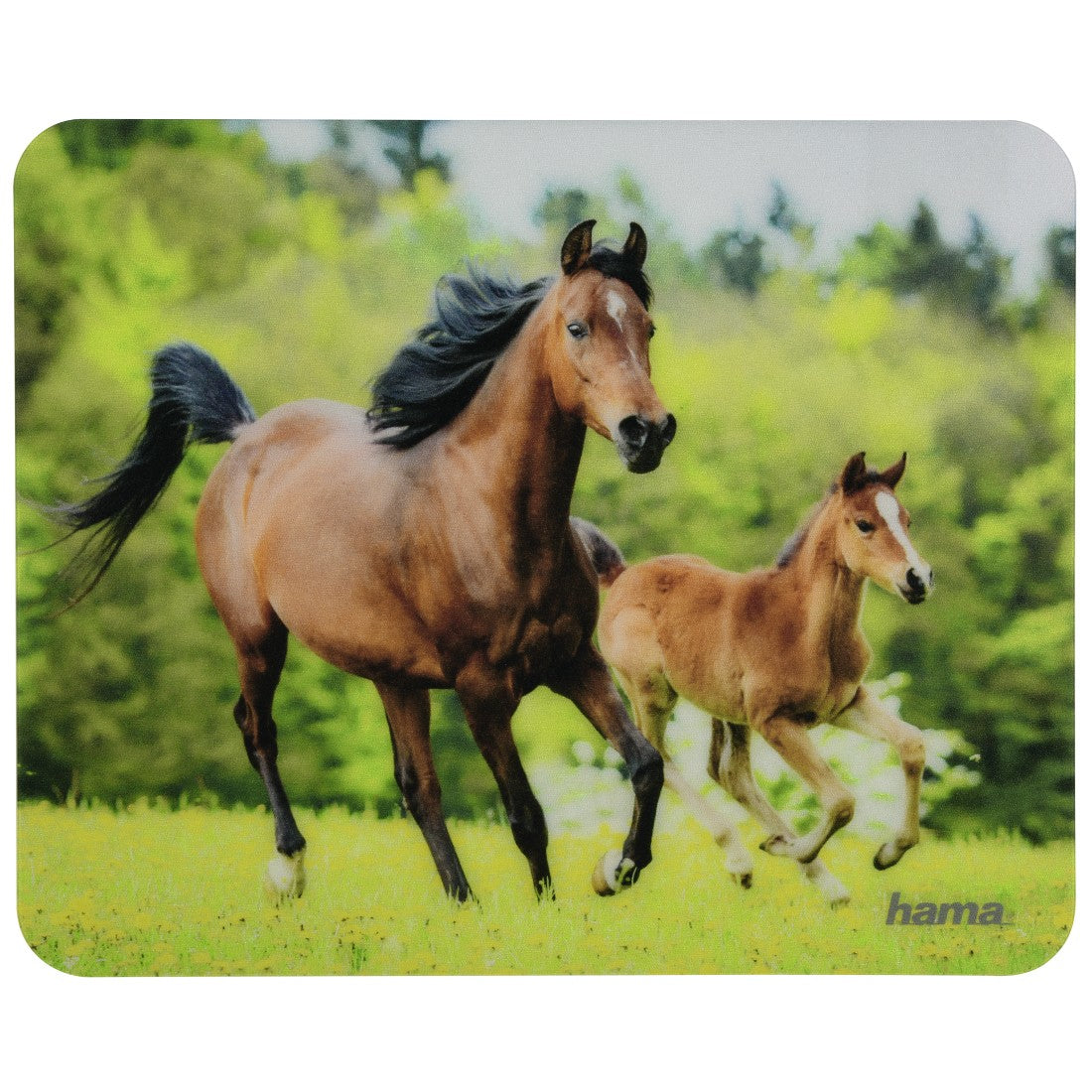 Hama Mausmatte Tiere – 220 × 180 × 1 mm, Mehrfarbig
