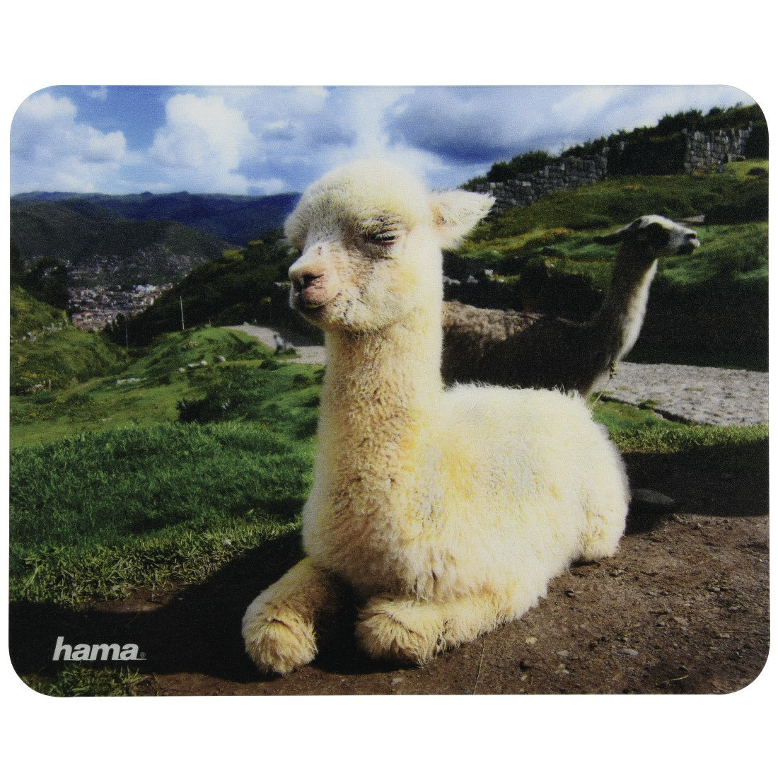 Hama Mausmatte Tiere – 220 × 180 × 1 mm, Mehrfarbig