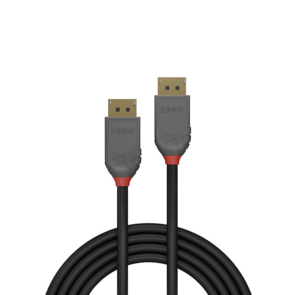 Lindy DisplayPort-zu-DisplayPort-Videokabel - 2 m, schwarz