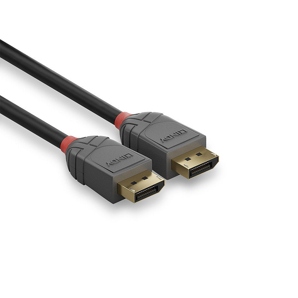 Lindy DisplayPort-DisplayPort Datenkabel – 15 m