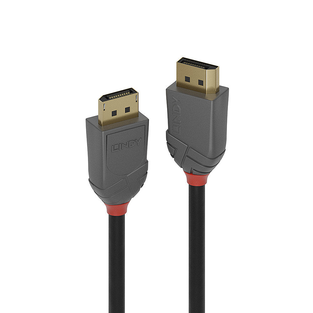Lindy DisplayPort-zu-DisplayPort-Videokabel - 2 m, schwarz