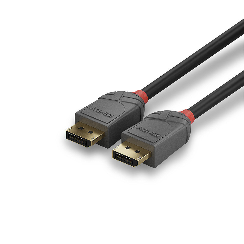 Lindy DisplayPort-zu-DisplayPort-Videokabel - 2 m, schwarz