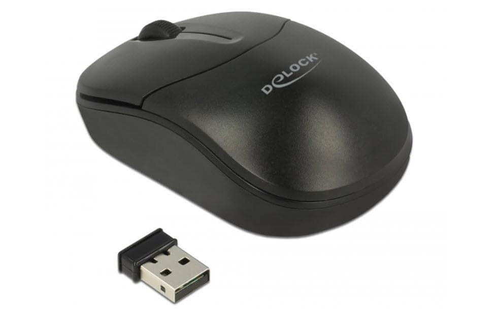 DeLOCK 12494 – Maus – Kabellos (2,4 GHz), beidhändig, Schwarz