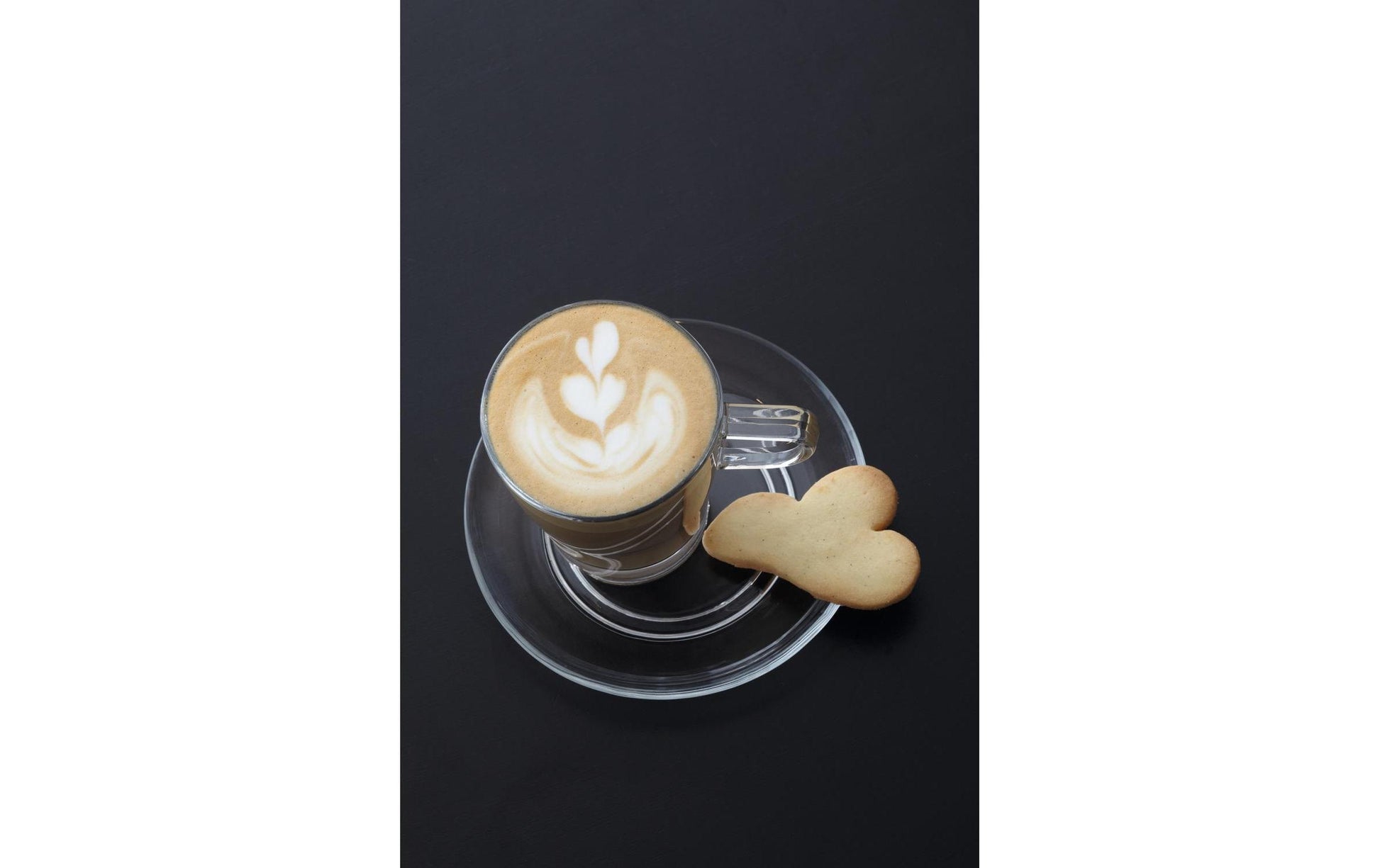 LEONARDO Kaffeetasse – 6er Set, 250 ml, Ø 8,0 cm, Kalk-Natron-Glas, Transparent, spülmaschinenfest