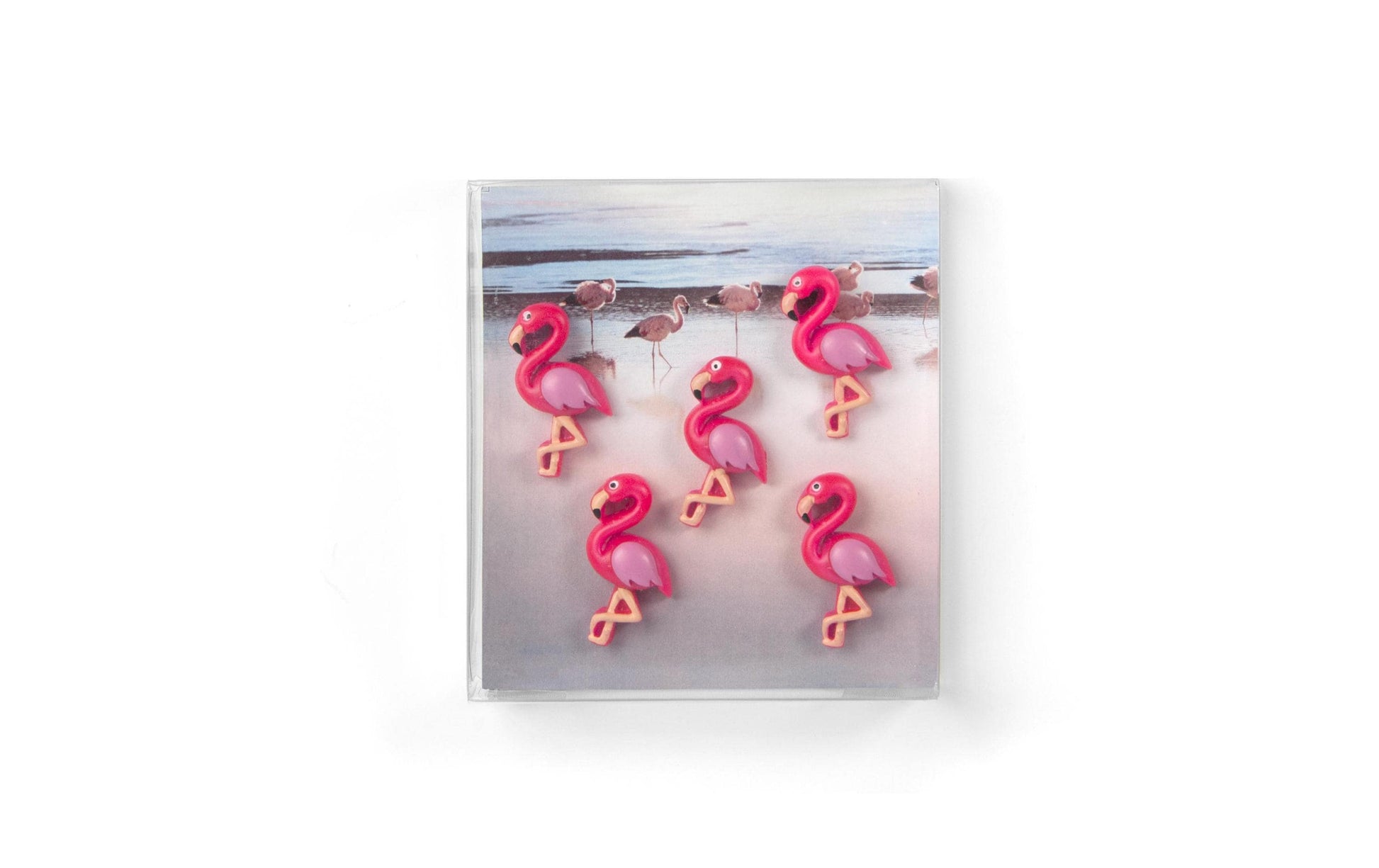 Trendform Flamingo Tafelmagnete – 34 × 7 × 17 mm – 5 Stück, Pink, Kunstharz