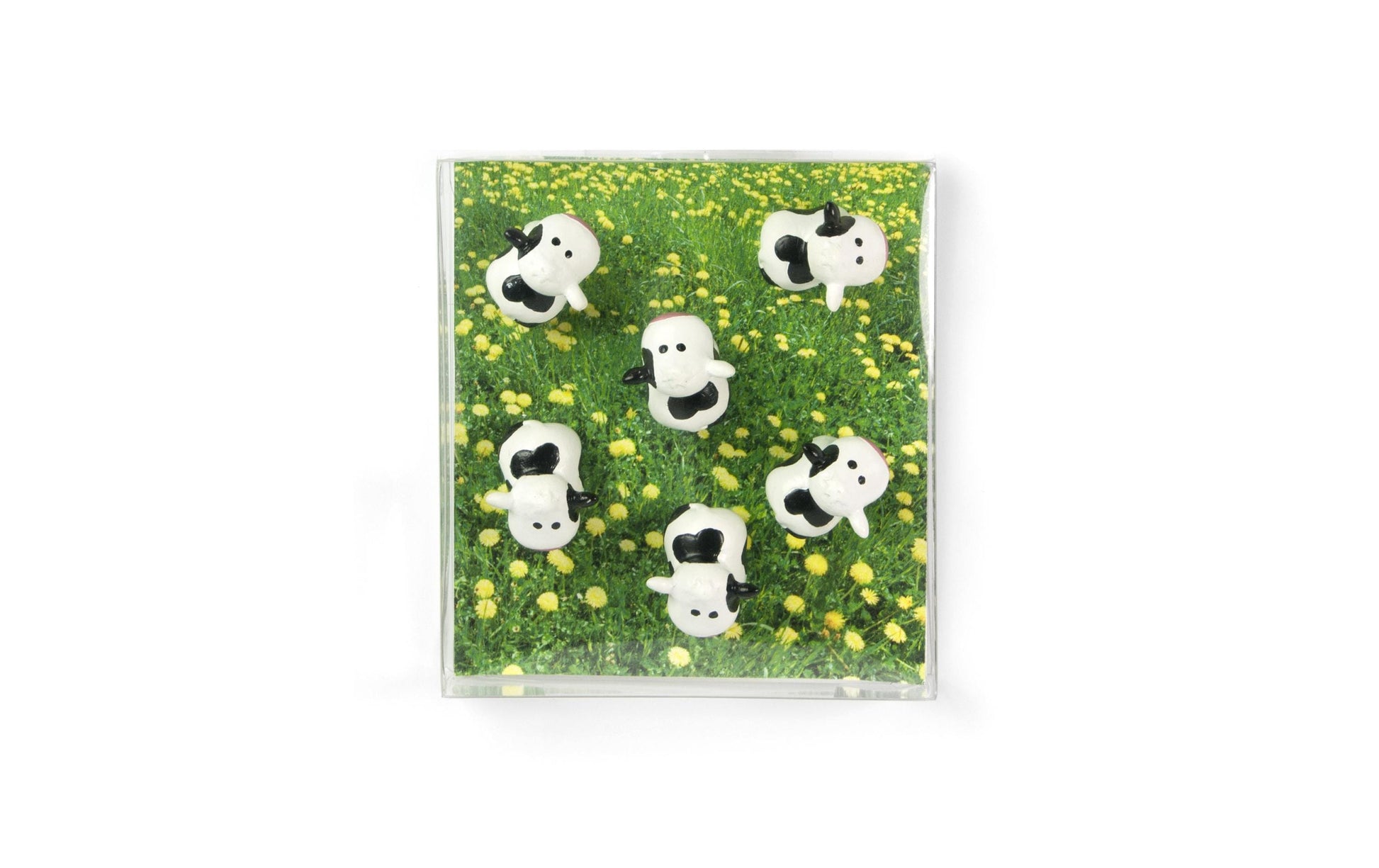 Trendform Tafelmagnete – Ø 20 mm – 6 Stk. – schwarz, weiss