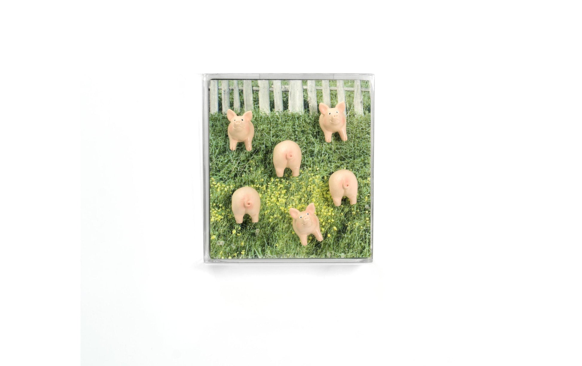 Trendform Tafelmagnete – Ø 15 mm, 6 Stk., pink