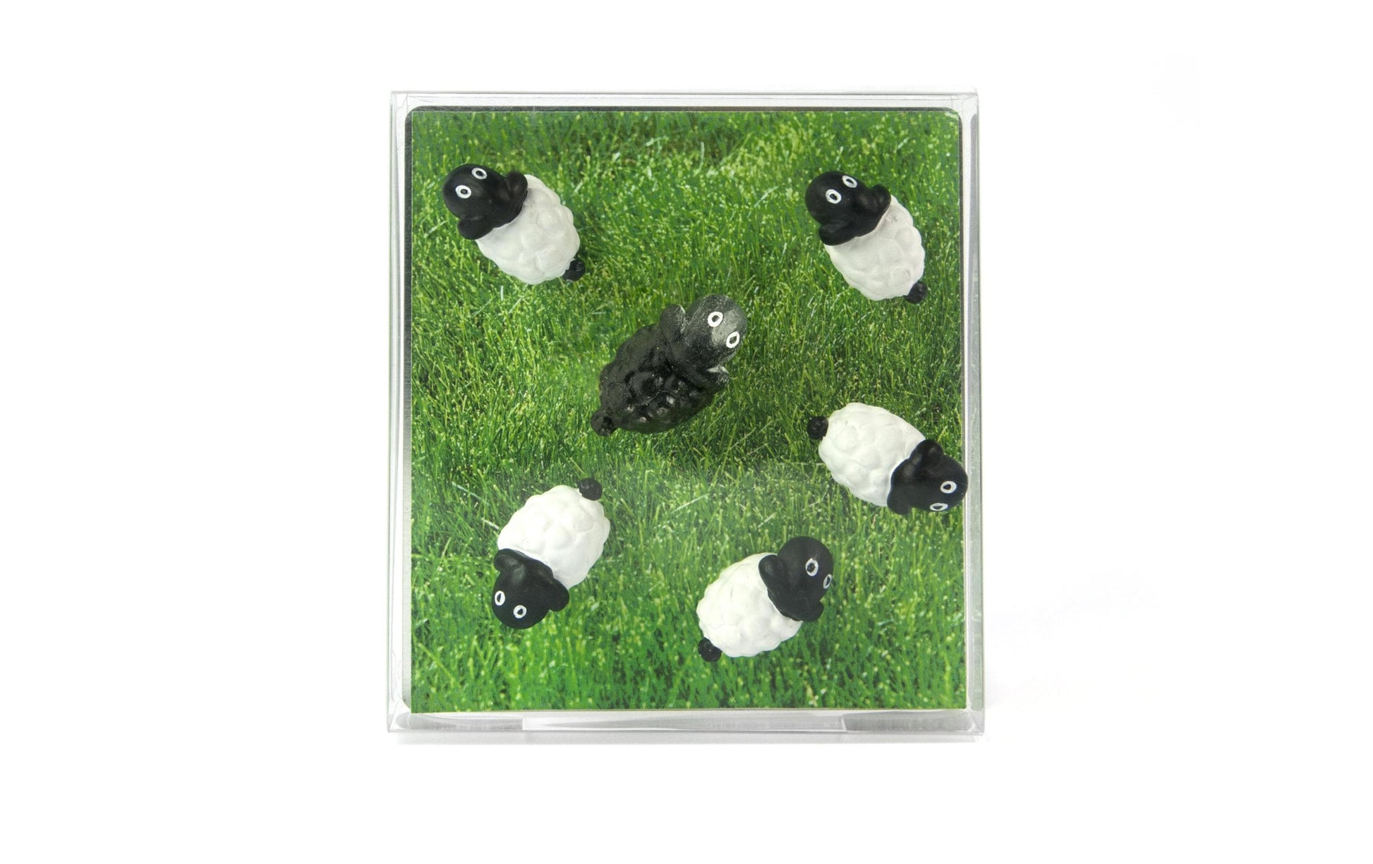 Trendform Blockmagnete SHEEP FA3737 – 26 × 14 × 16 mm – 6 Stück, schwarz/weiss, Kunstharz