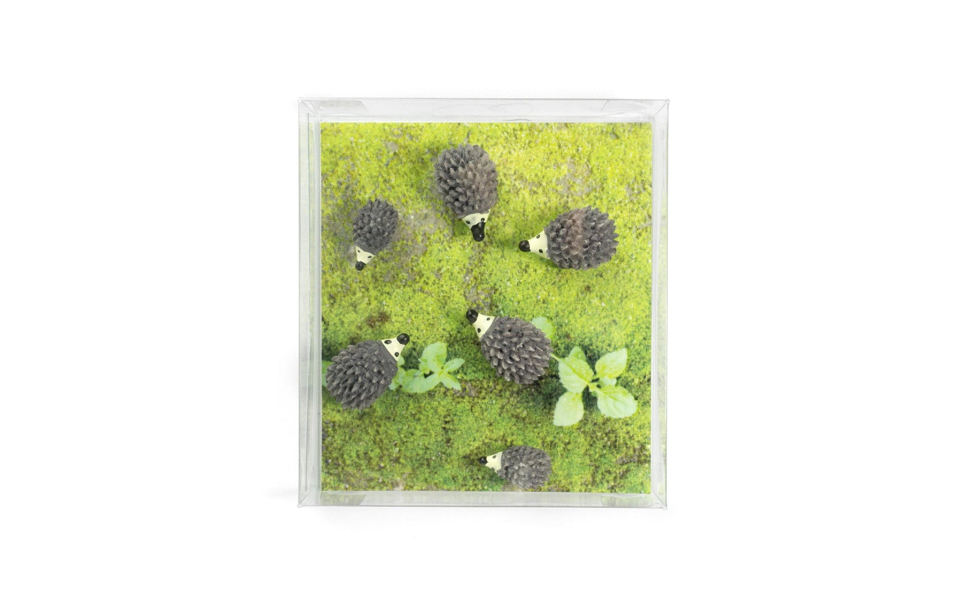 Trendform Tafelmagnete – Ø 26 mm, 6 Stk., grau