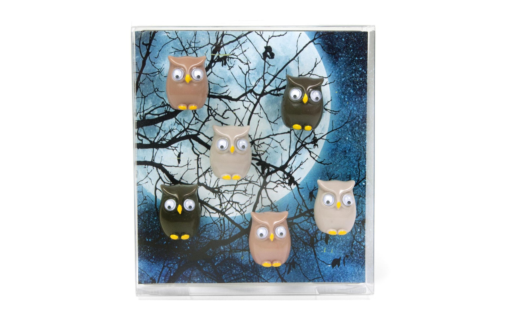 Trendform OWL FW3542 Magnete – 20 × 16 × 16 mm – 6 Stück, Kunststoff, mehrfarbig, für Magnetwände