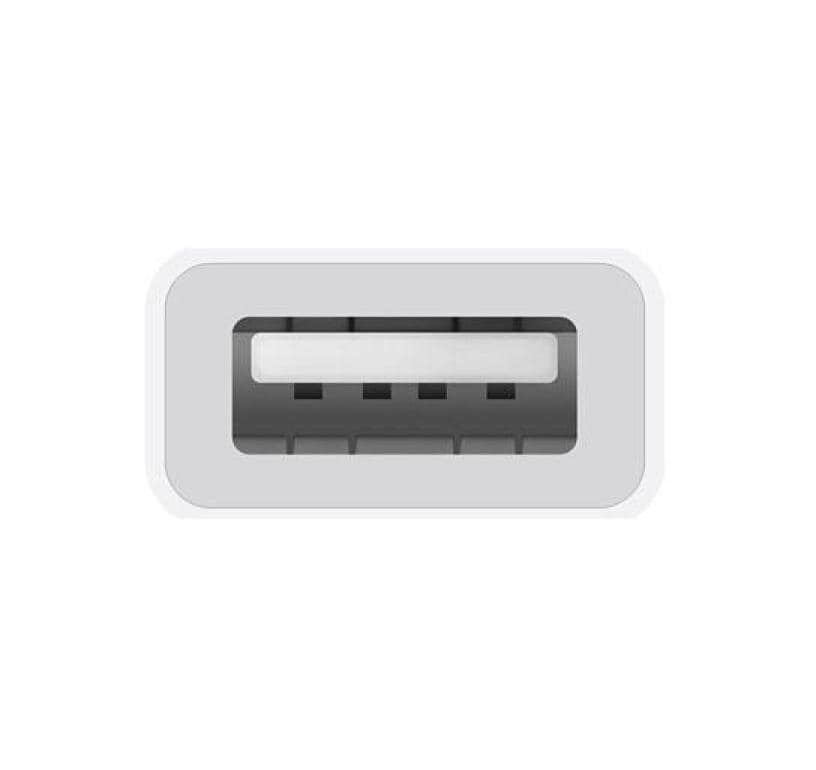 Apple MW5L3ZM/A USB-C-zu-USB-A-Adapter – 0,10 m – für iPhone 15/16, iPad Pro/Air, MacBook/Mac mini (Auswahl)