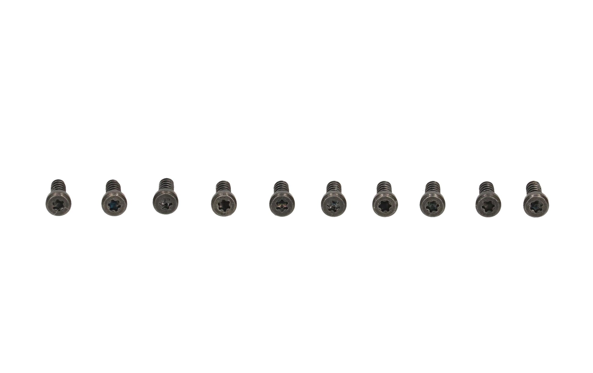 Bachmann Torx T6 Schrauben – Custom Module