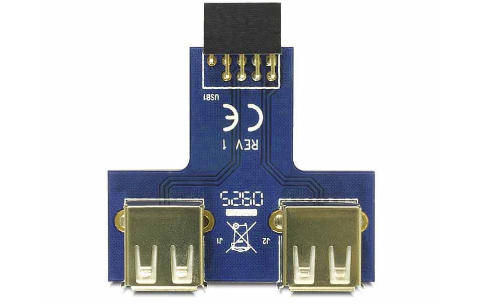DeLOCK USB-Adapter 9-polig 2,54 mm Buchse auf 2× USB-A Buchse – USB 2.0 (480 Mbit/s) – Grau