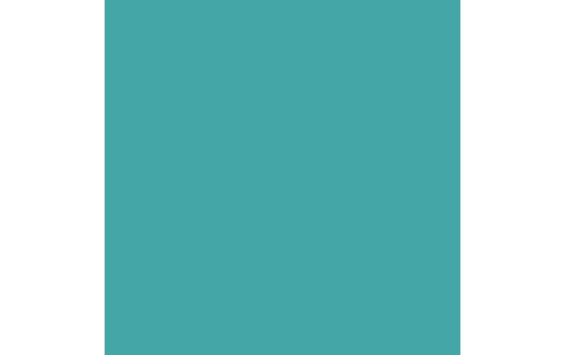 Royal Talens Amsterdam – Acrylic Standard – Acrylfarbe – türkisgrün, 120 ml