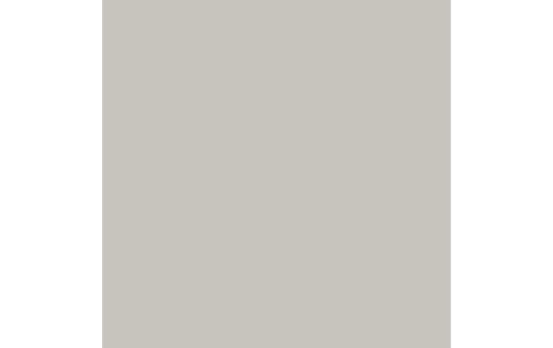 Royal Talens Amsterdam – Acrylic Standard – Acrylfarbe – Dunkel Titanbuff, 120 ml
