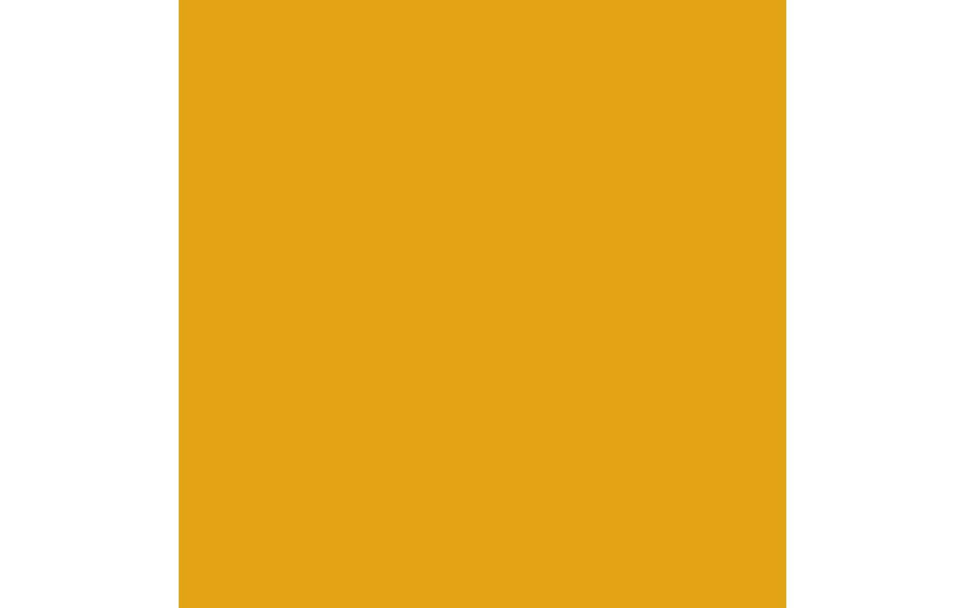 Royal Talens Amsterdam – Acrylic Standard – Acrylfarbe – Dunkel Azogelb, 500 ml