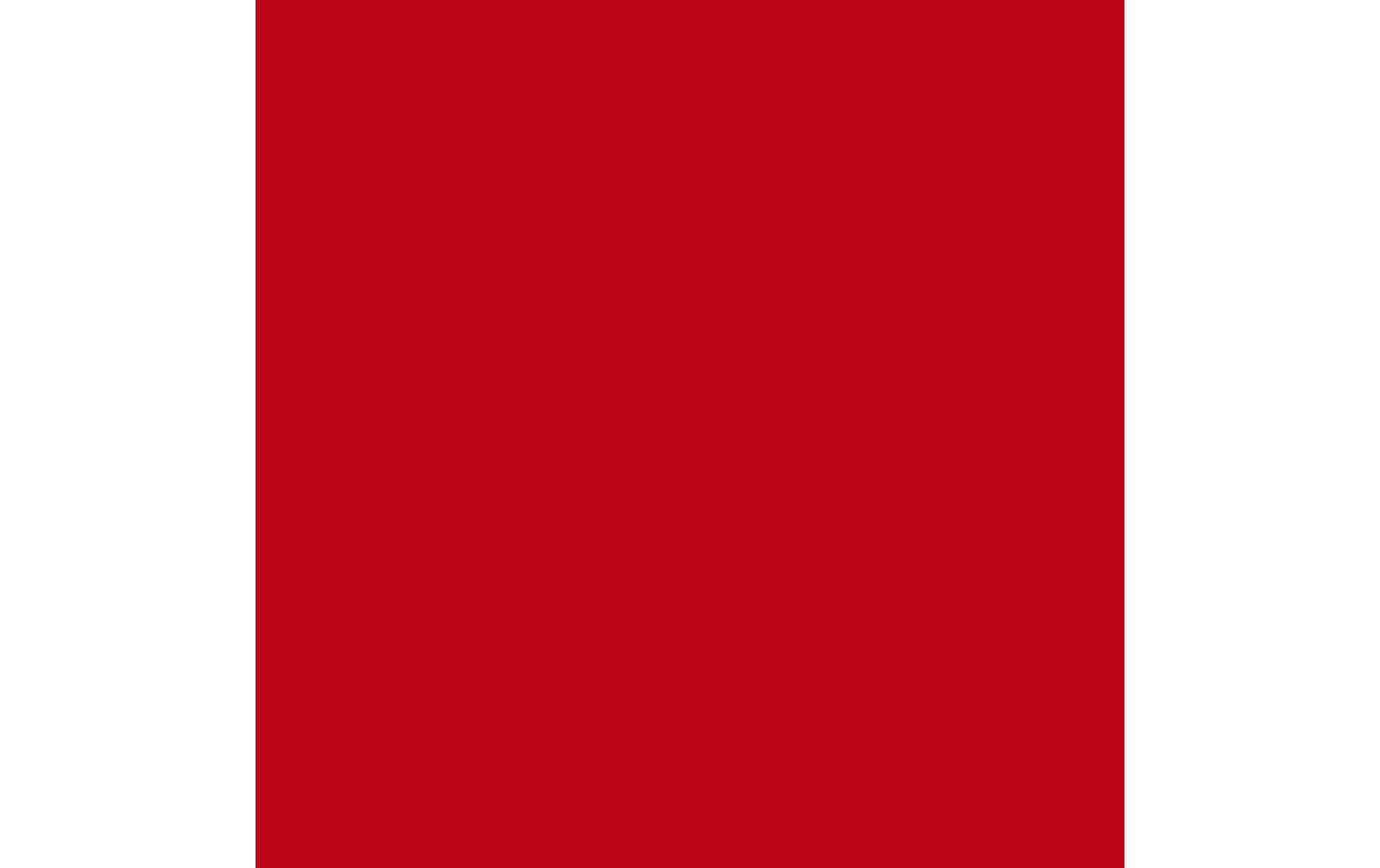 Royal Talens Amsterdam – Acrylic Standard – Acrylfarbe – Pyrrolrot, 500 ml