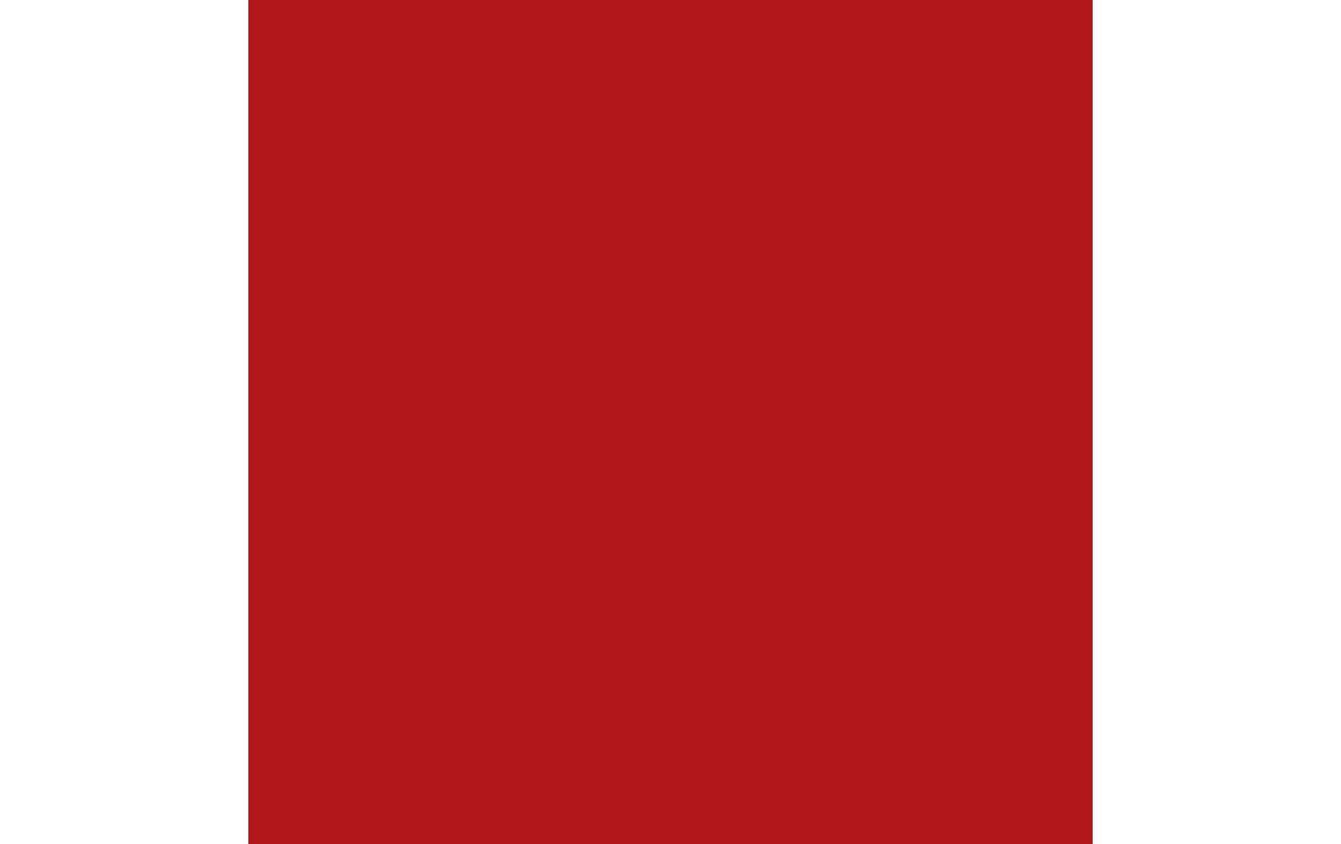 Royal Talens Amsterdam Standard Acrylfarbe – Naphtholrot D, halbdeckend – 500 ml – für Stein
