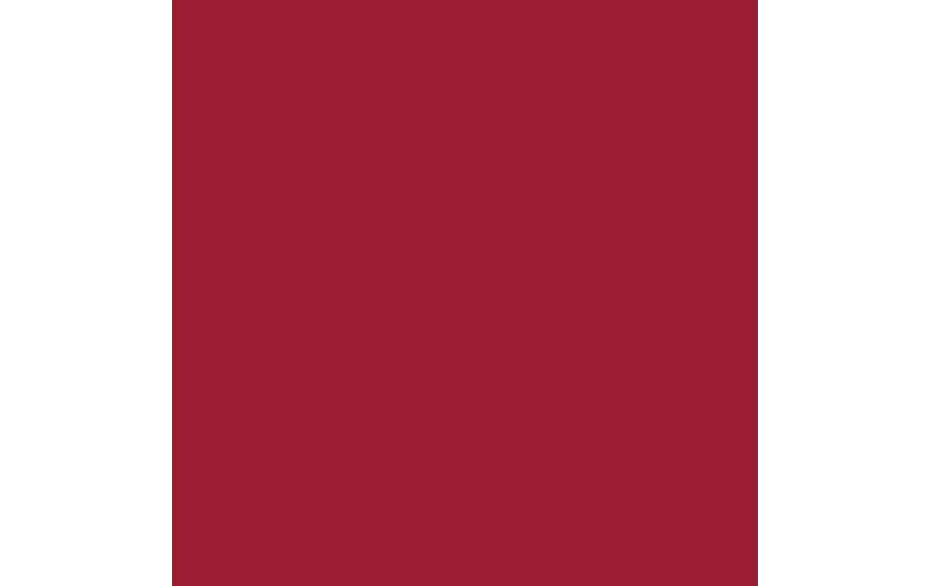 Royal Talens Amsterdam – Acryl Standard – Acrylfarbe – Karmin, 120 ml