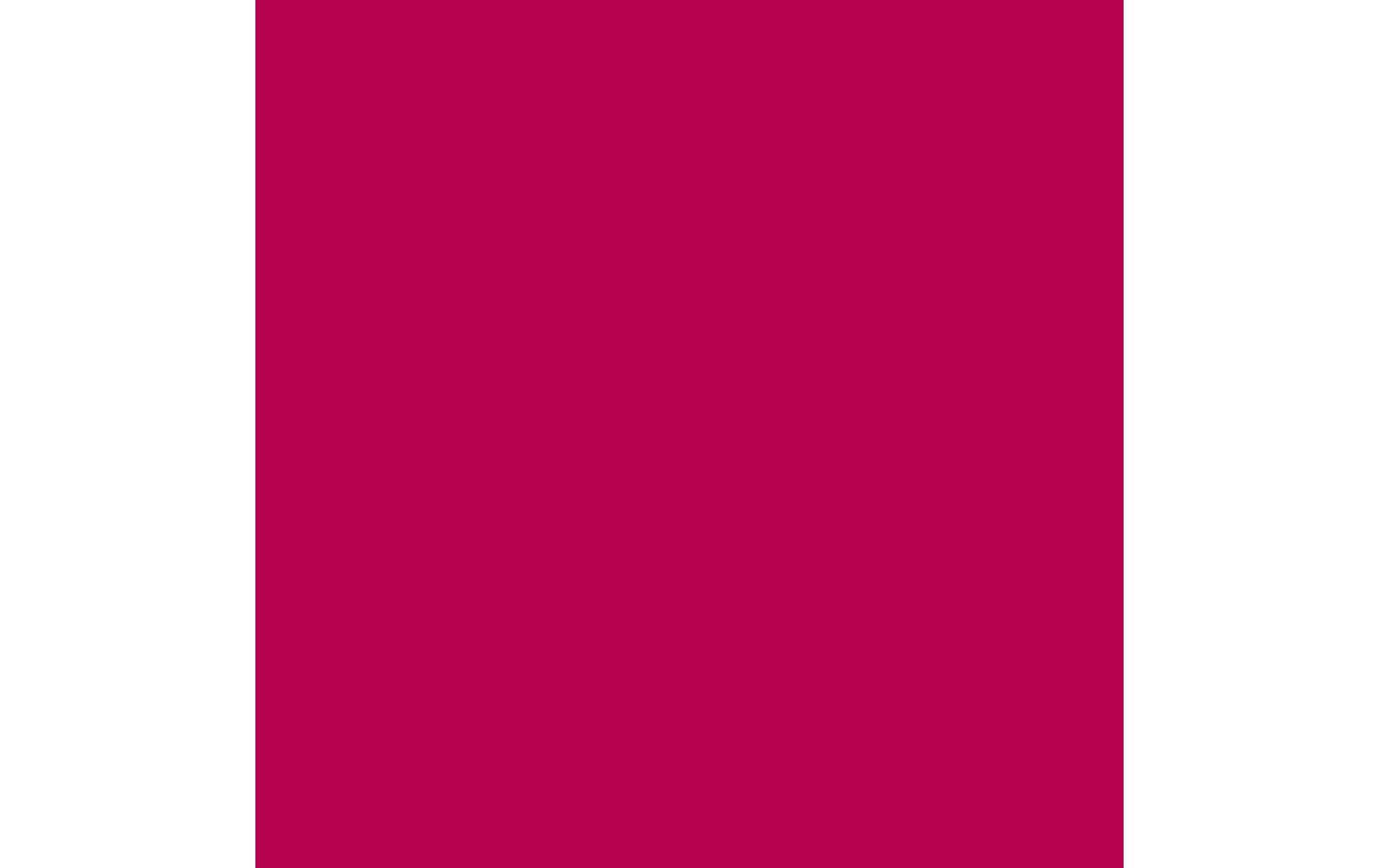 Royal Talens Amsterdam – Acrylic Standard – Acrylfarbe – Primärmagenta, 120 ml