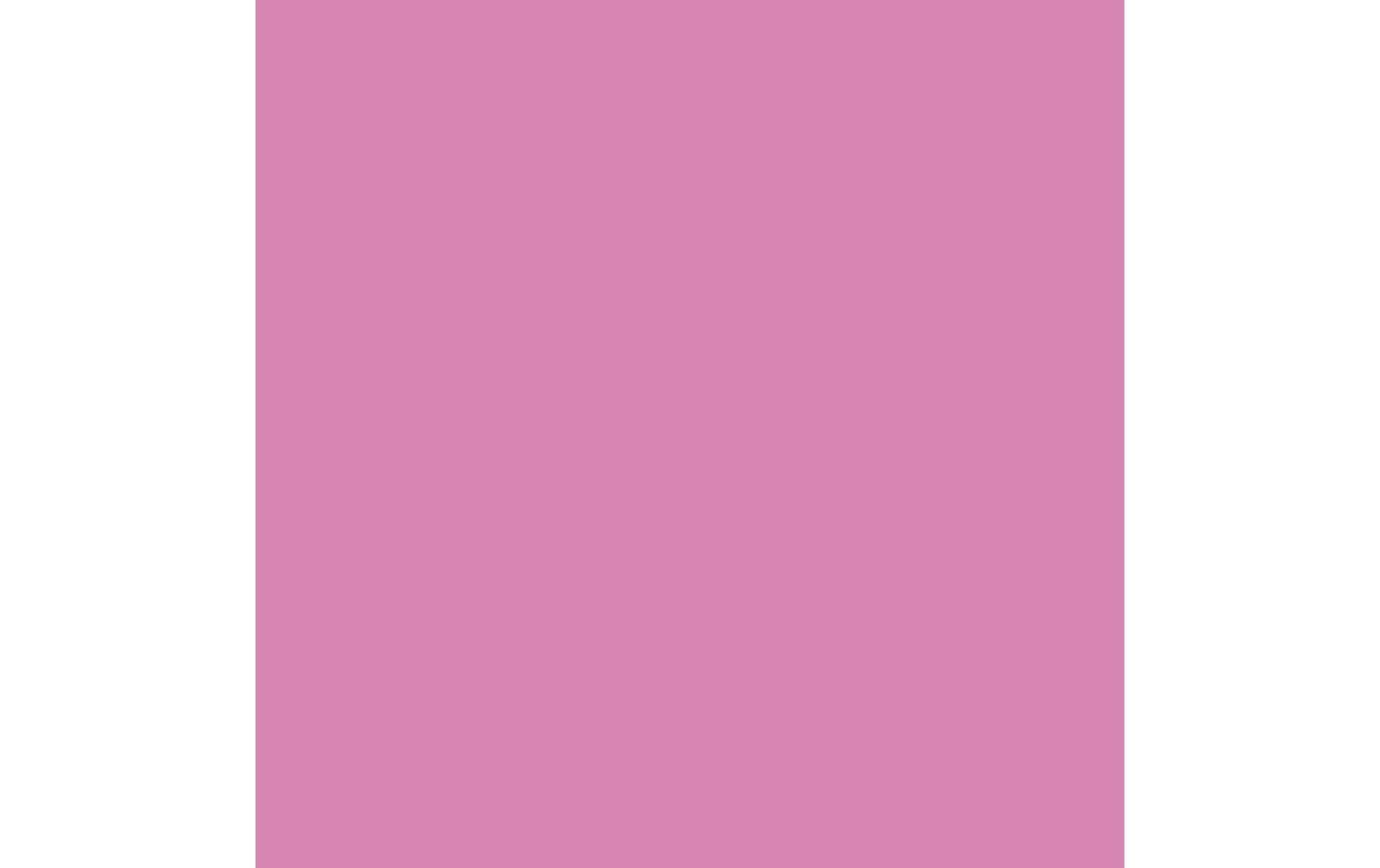 Royal Talens Amsterdam Standard Acrylfarbe – Rosa, deckend – 500 ml – für Papier
