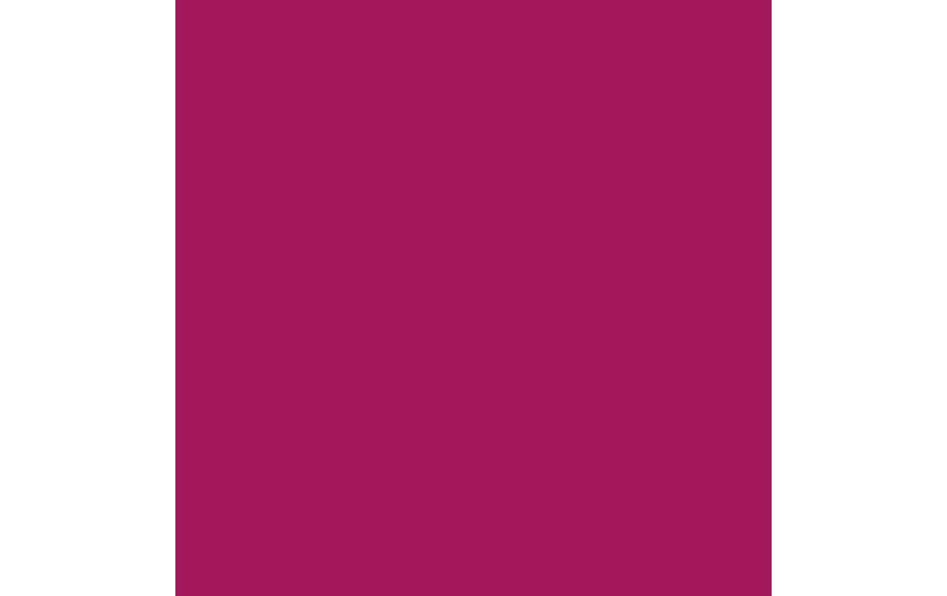 Royal Talens AMSTERDAM Standard Acrylfarbe – Rose – 500 ml