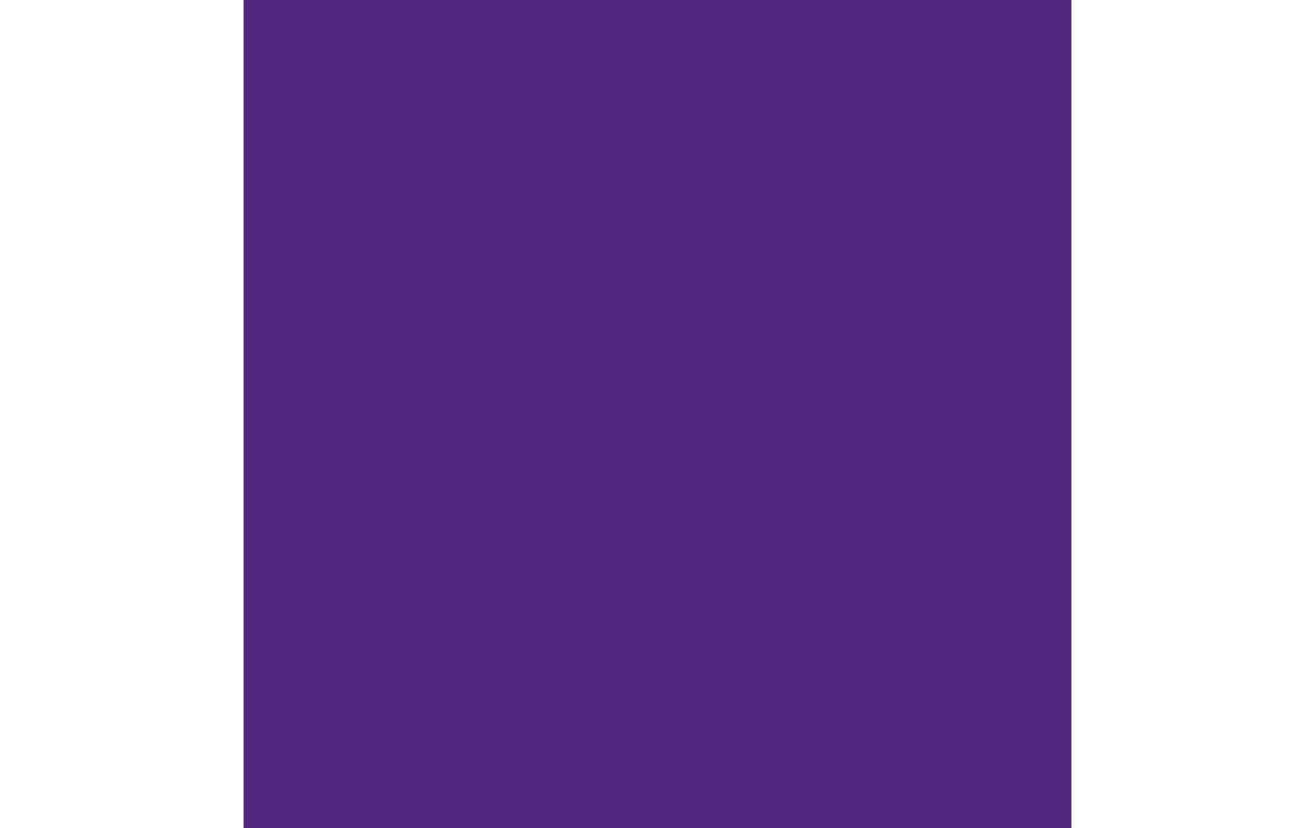 Royal Talens Amsterdam – Acrylic Standard – Acrylfarbe – Permanentblauviolett, 500 ml