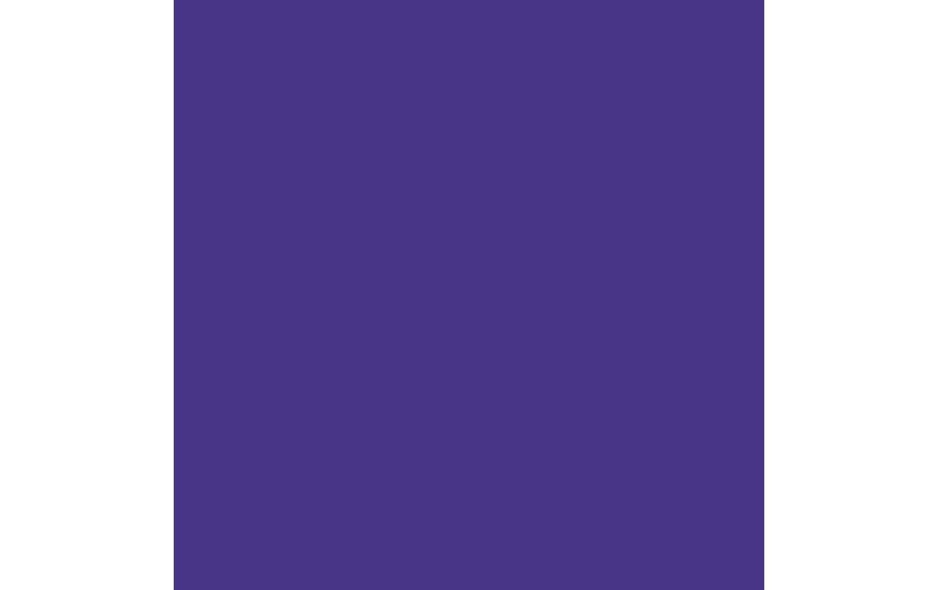 Royal Talens Amsterdam – Acrylic Standard – Acrylfarbe – Ultramarin Violett, 120 ml