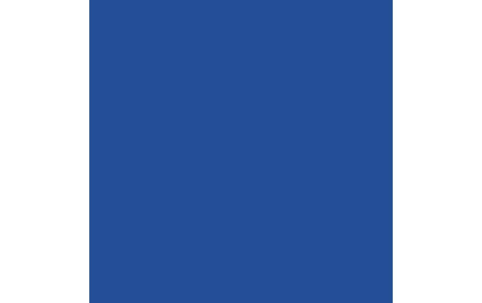Royal Talens Amsterdam – Acrylic Standard – Acrylfarbe – Kobaltblau Ultramarin, 120 ml