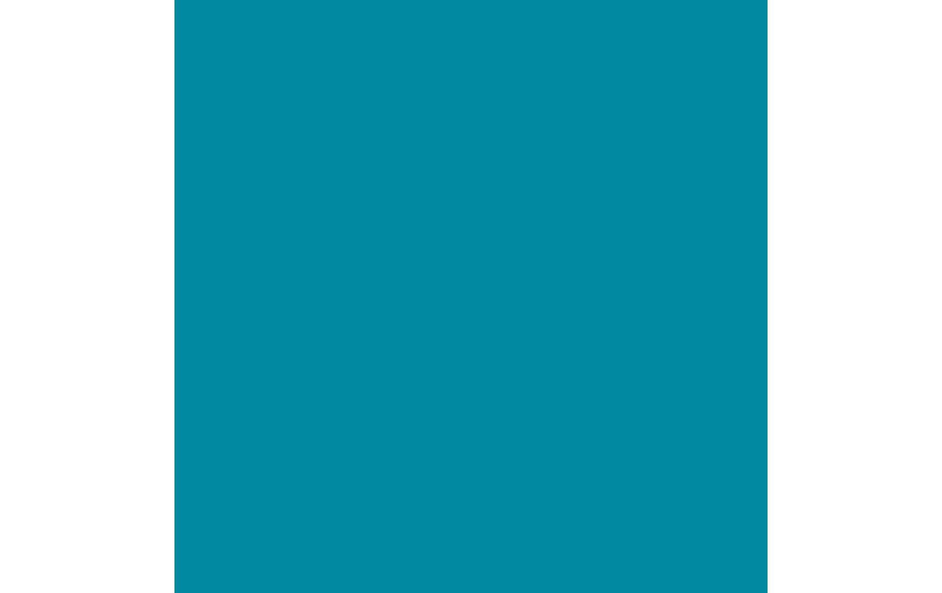 Royal Talens Amsterdam Standard Acrylfarbe – Türkisblau, wasserfest – 500 ml, Flasche