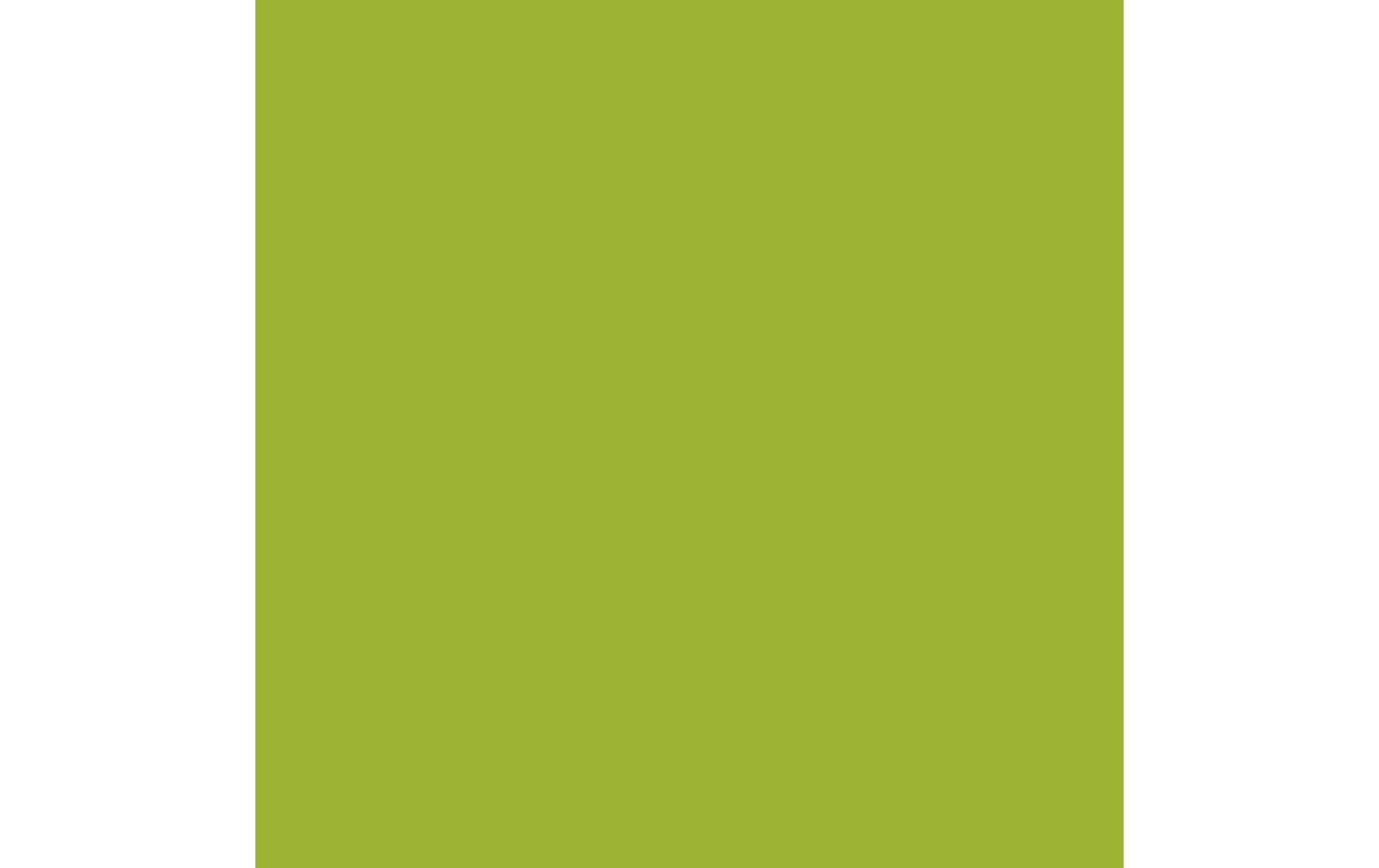 Royal Talens Amsterdam – Acrylic Standard – Acrylfarbe – Gelbgrün, 500 ml