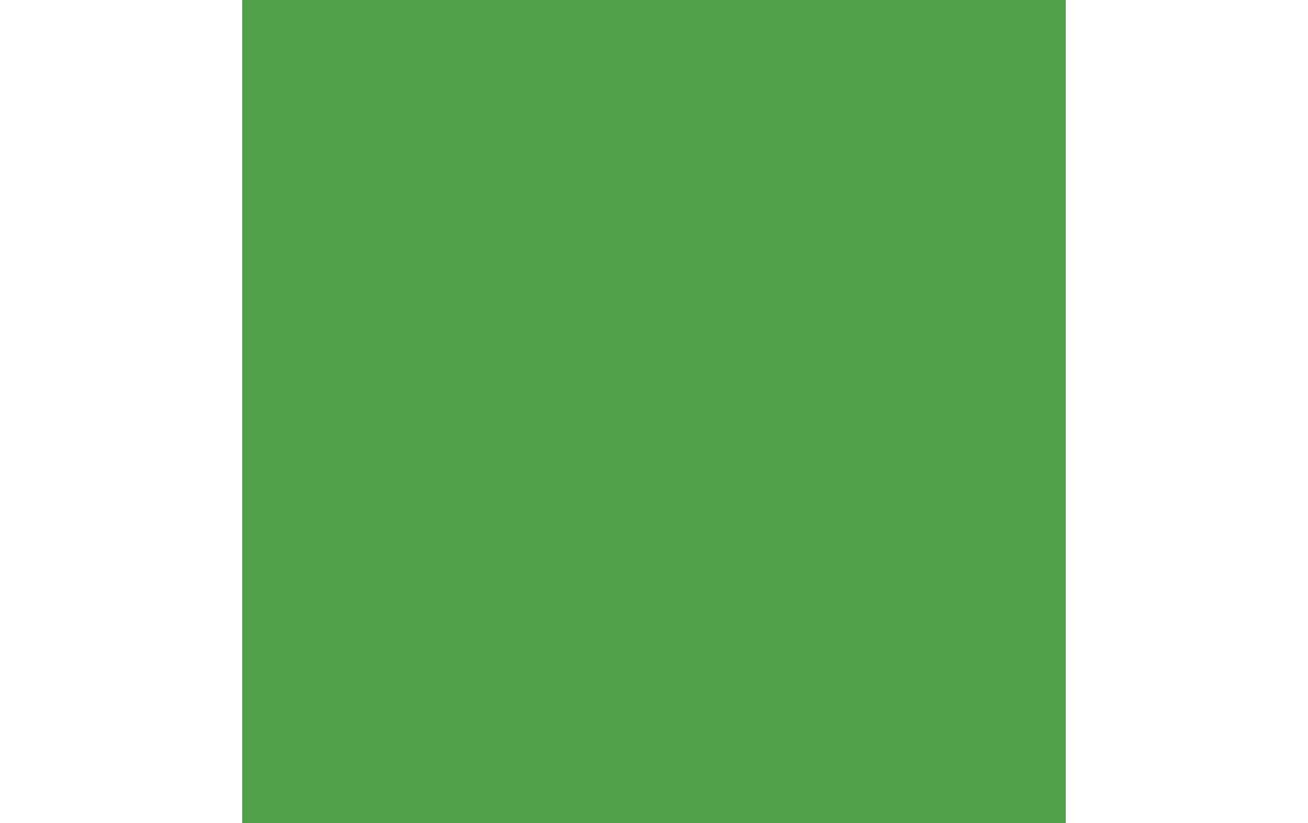Royal Talens Amsterdam – Acrylic Standard – Acrylfarbe – Brillantgrün, 120 ml
