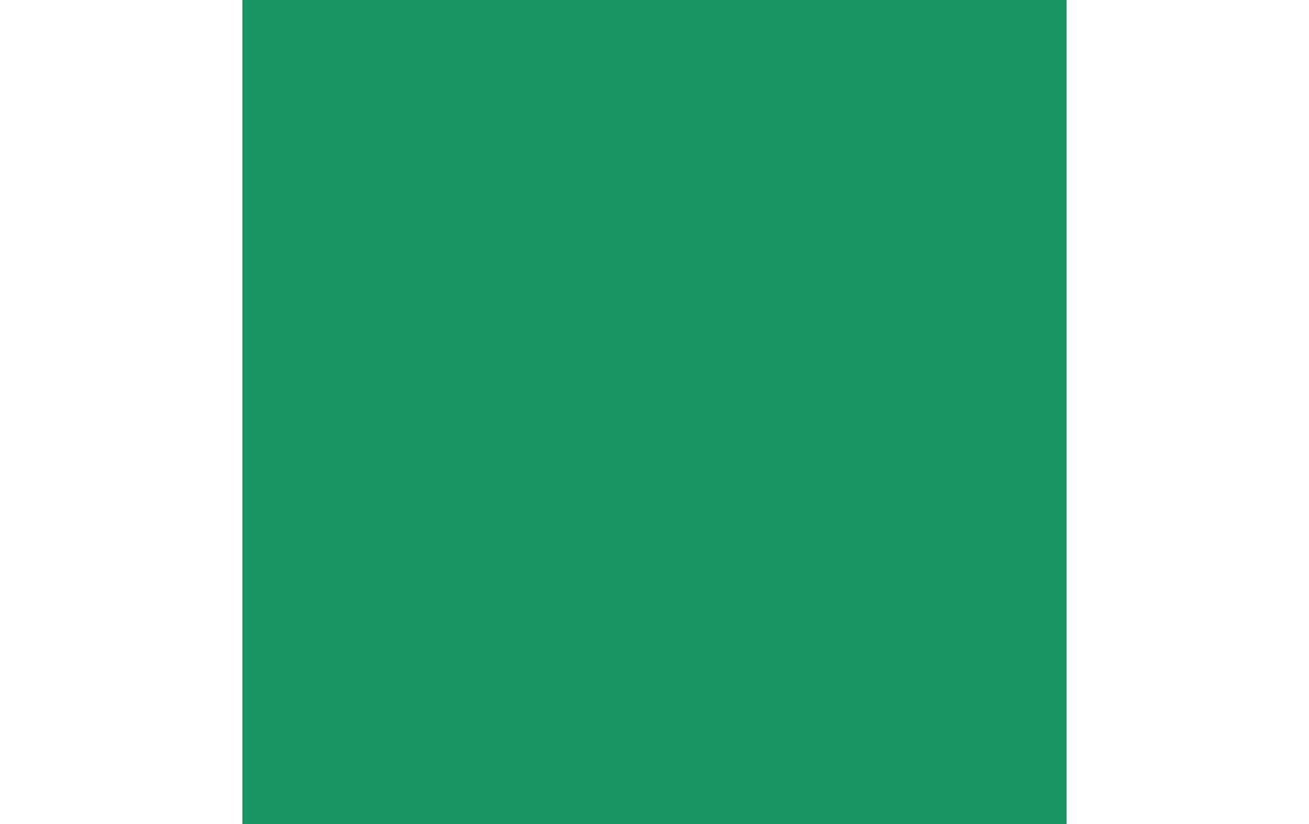 Royal Talens Amsterdam – Acryl Standard – Acrylfarbe – Paul Veronesegrün, 120 ml