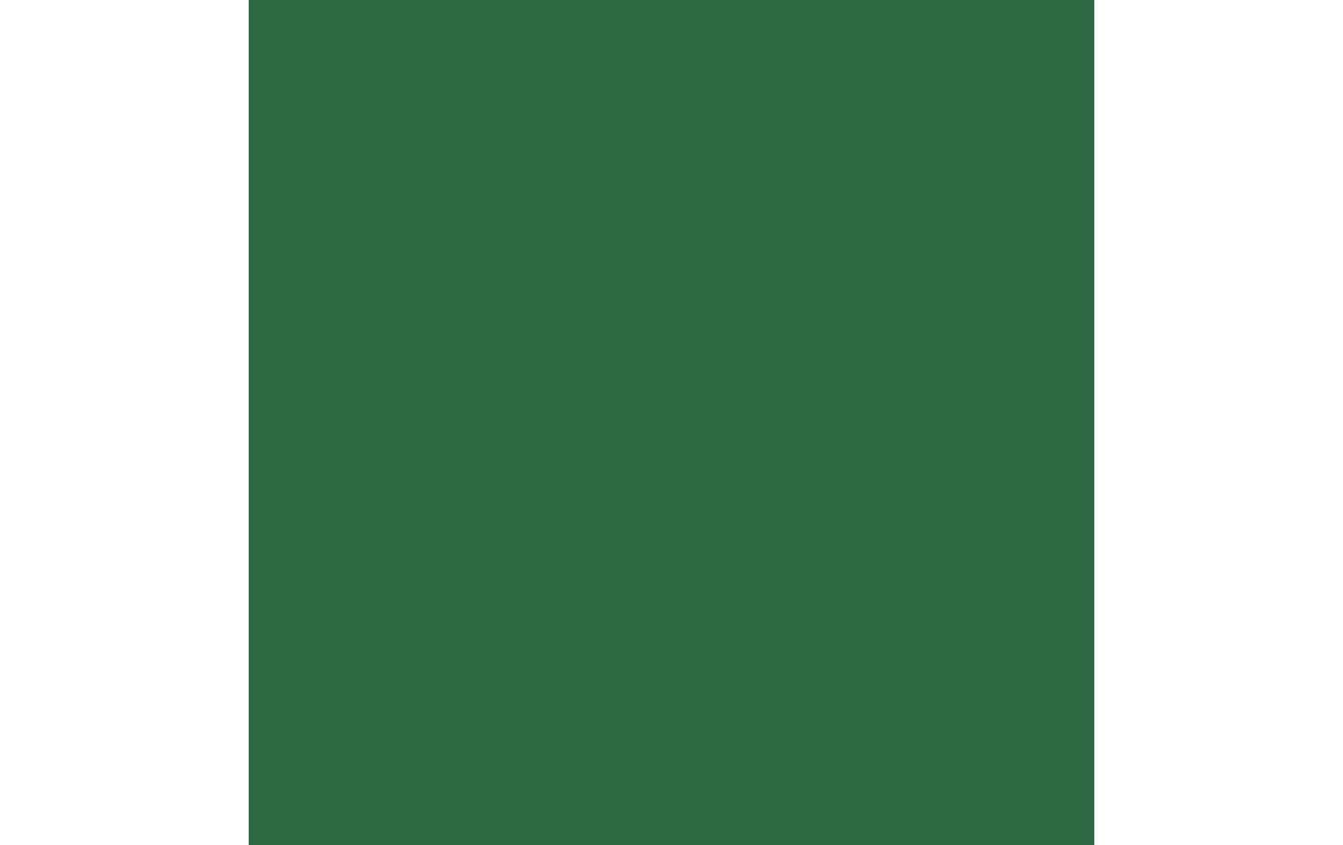 Royal Talens Amsterdam – Acrylic Standard – Acrylfarbe – Dunkel Permanentgrün, 120 ml