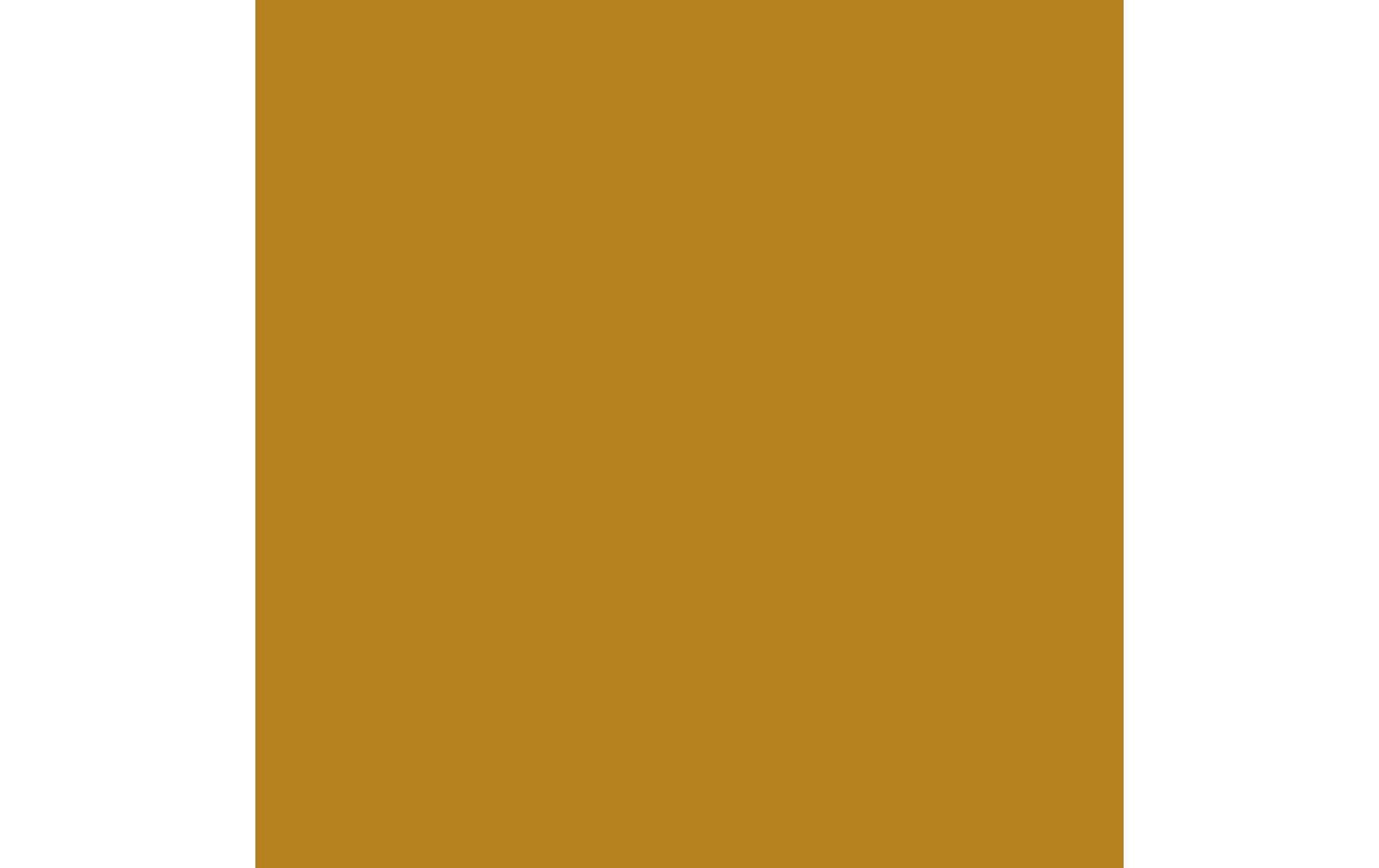 Royal Talens Amsterdam – Acrylic Standard – Acrylfarbe – Goldocker, 120 ml
