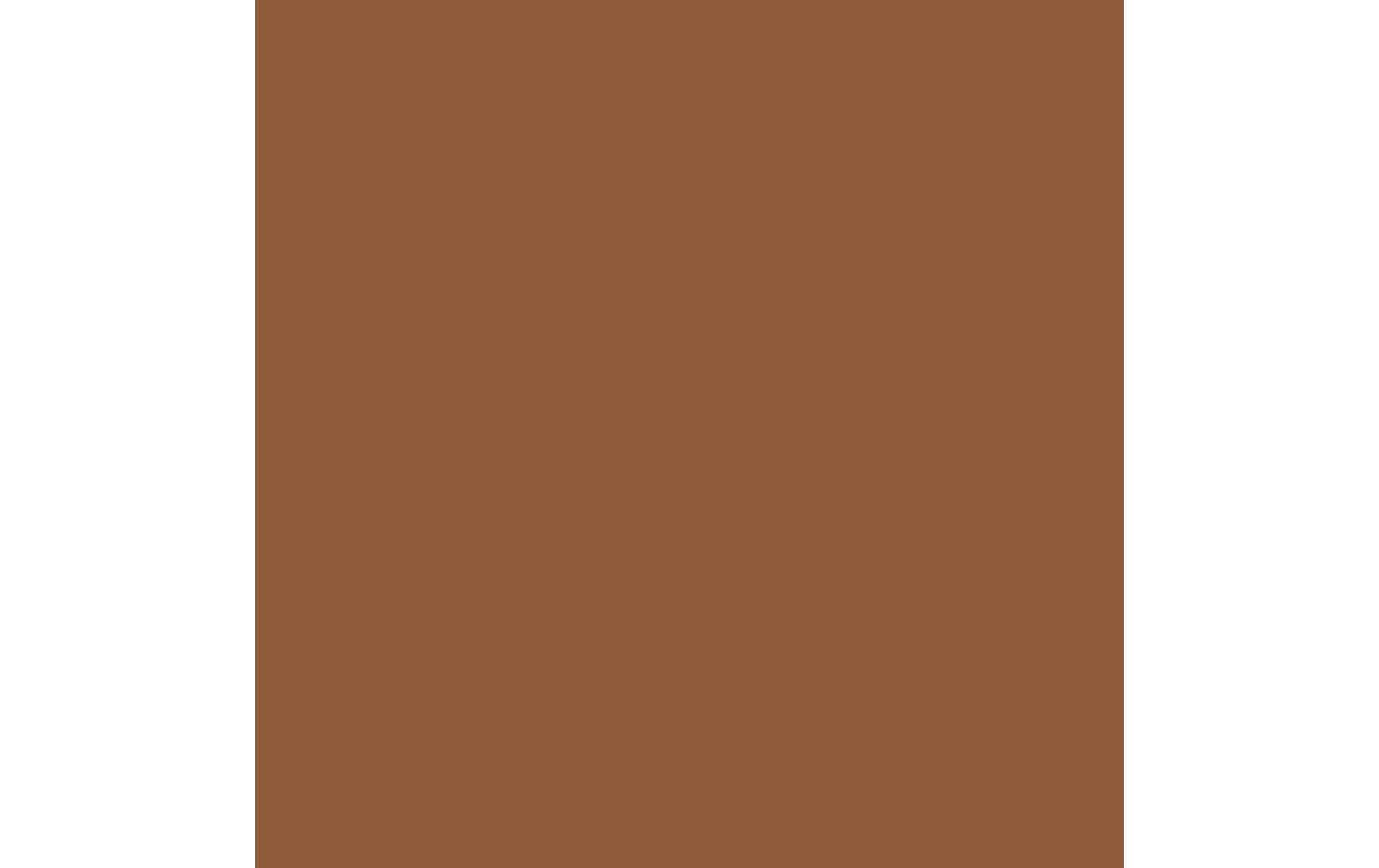 Royal Talens Amsterdam Standard Acrylfarbe – Braun, deckend – 500 ml – für Stein