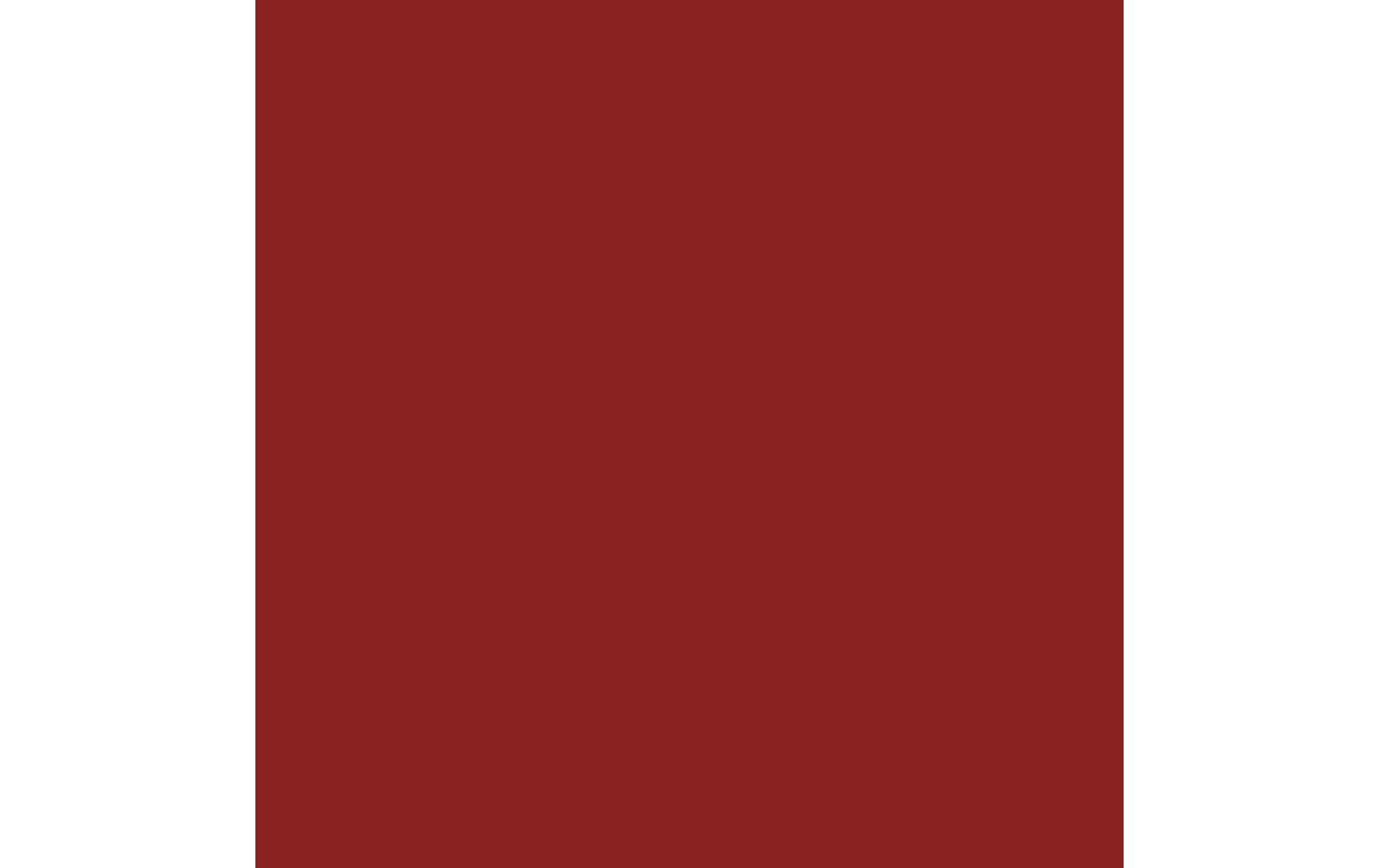 Royal Talens Amsterdam – Acrylic Standard – Acrylfarbe – Siena gebrannt, 500 ml