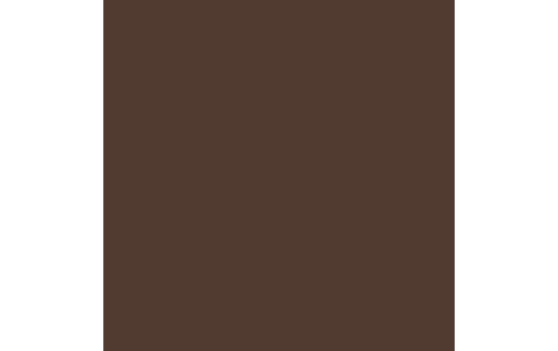 Royal Talens Amsterdam – Acryl Standard – Acrylfarbe – Gebrannte Umbra, 120 ml